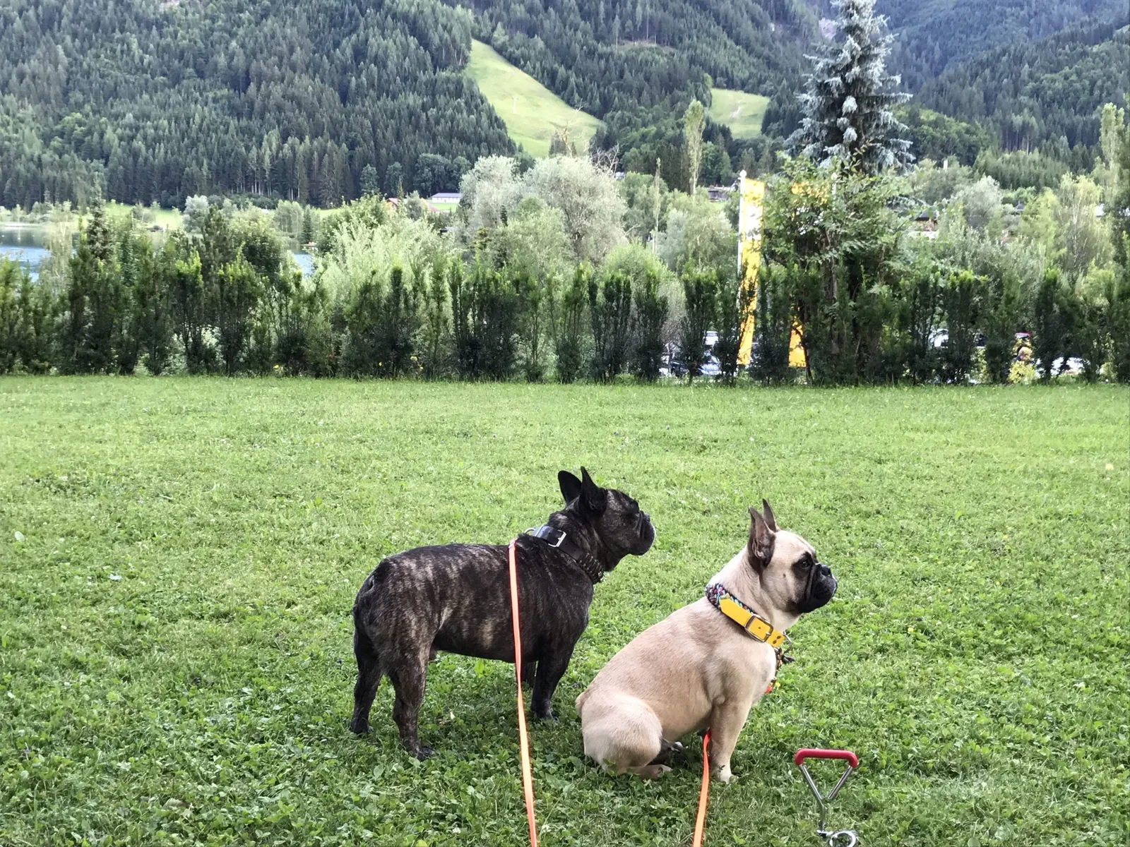 Urlaub mit Hund am Weissensee, Kärnten