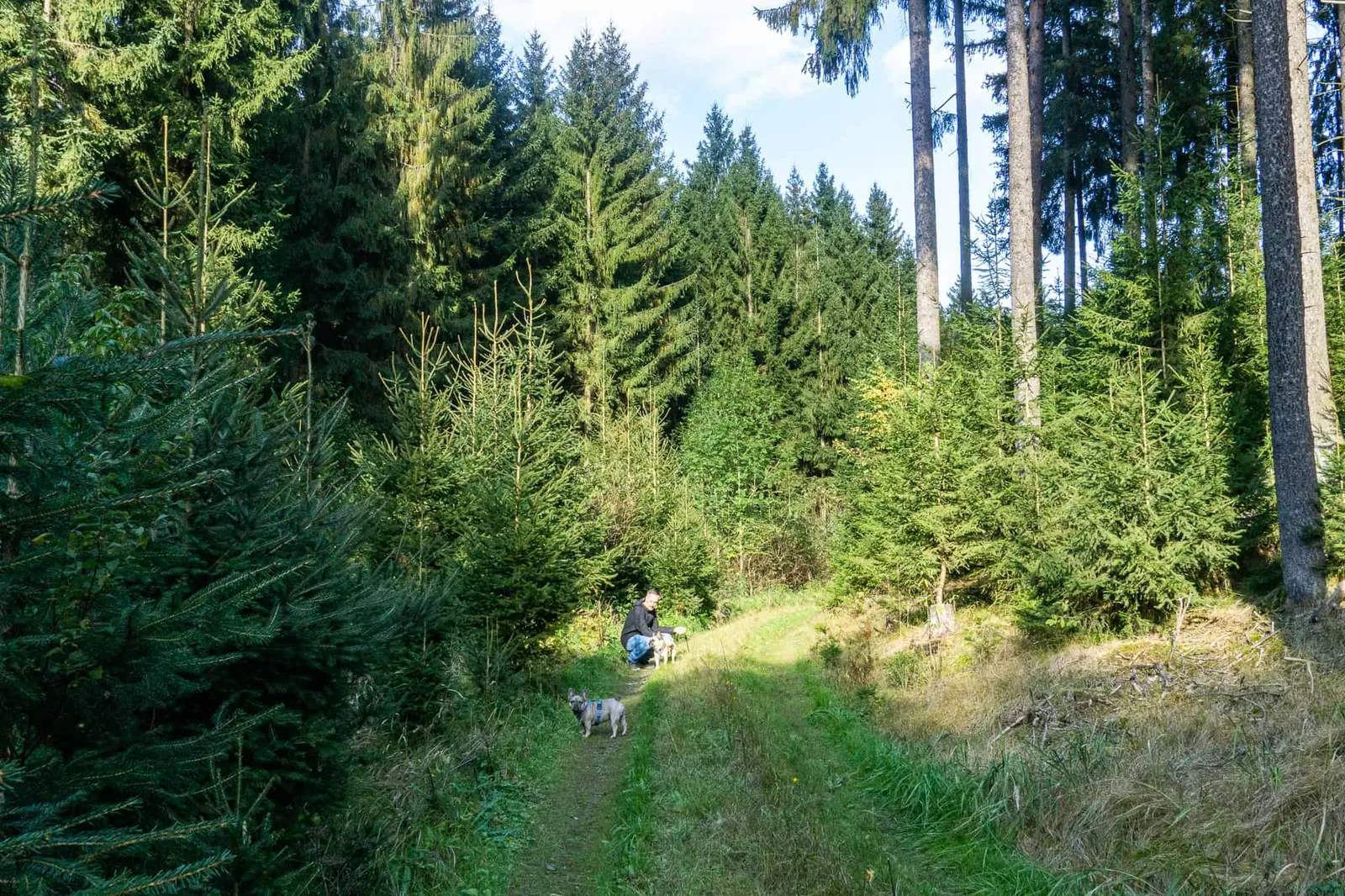 Waldviertel Zwettl Hundereise Riegersbach