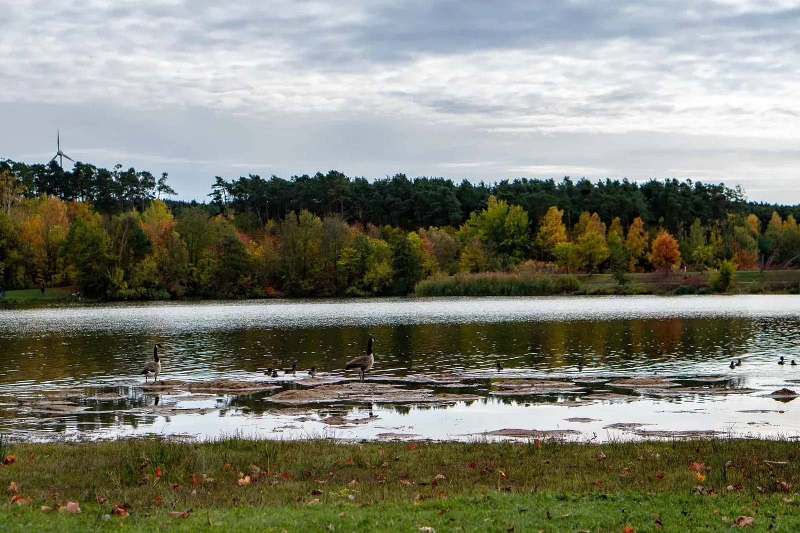 Hundereise Urlaub Rothsee Deutschland
