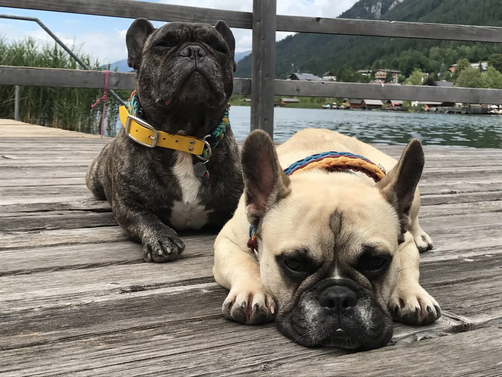 Urlaub mit Hund am Weissensee, Kärnten