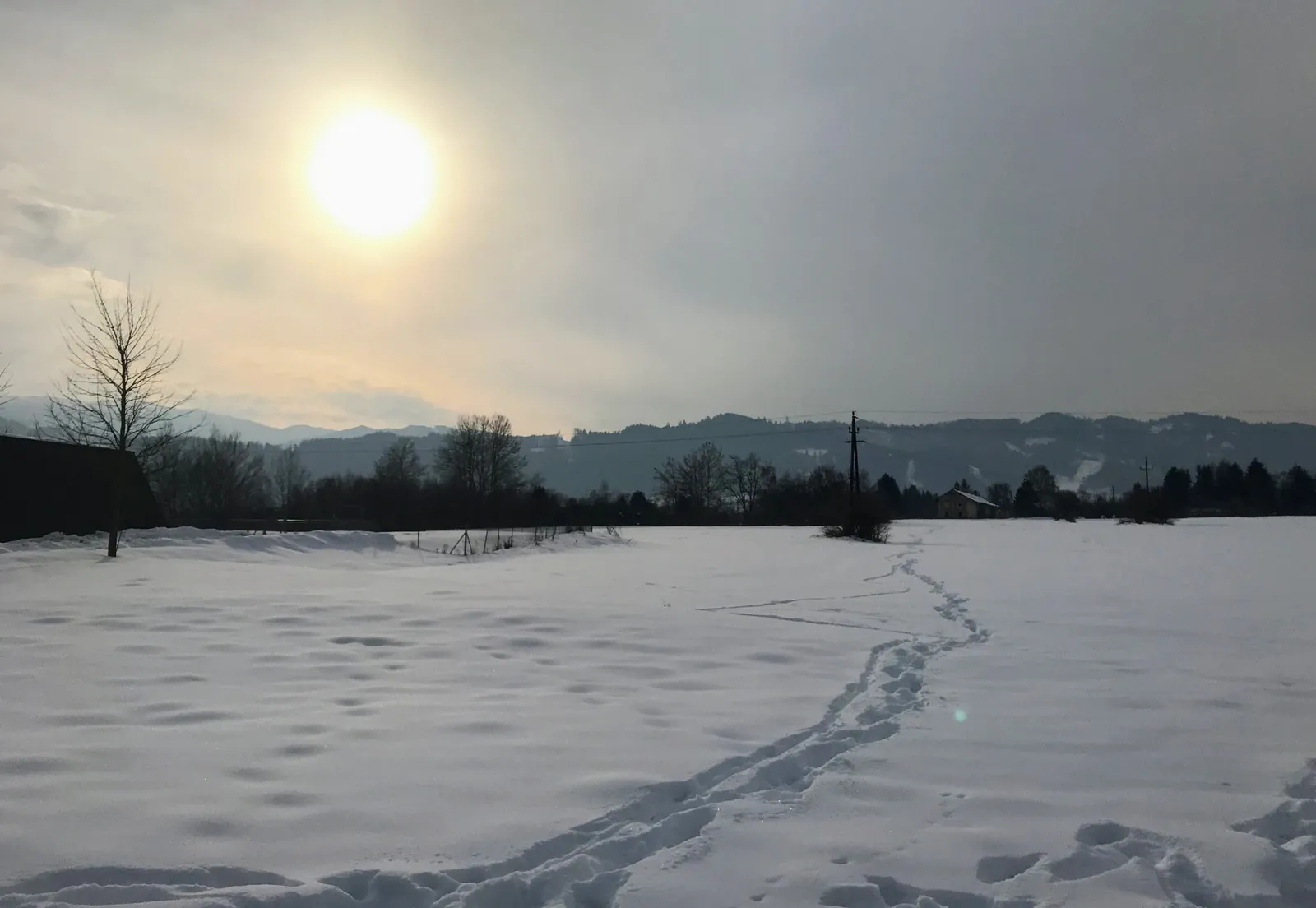 Hundeurlaub Steiermark