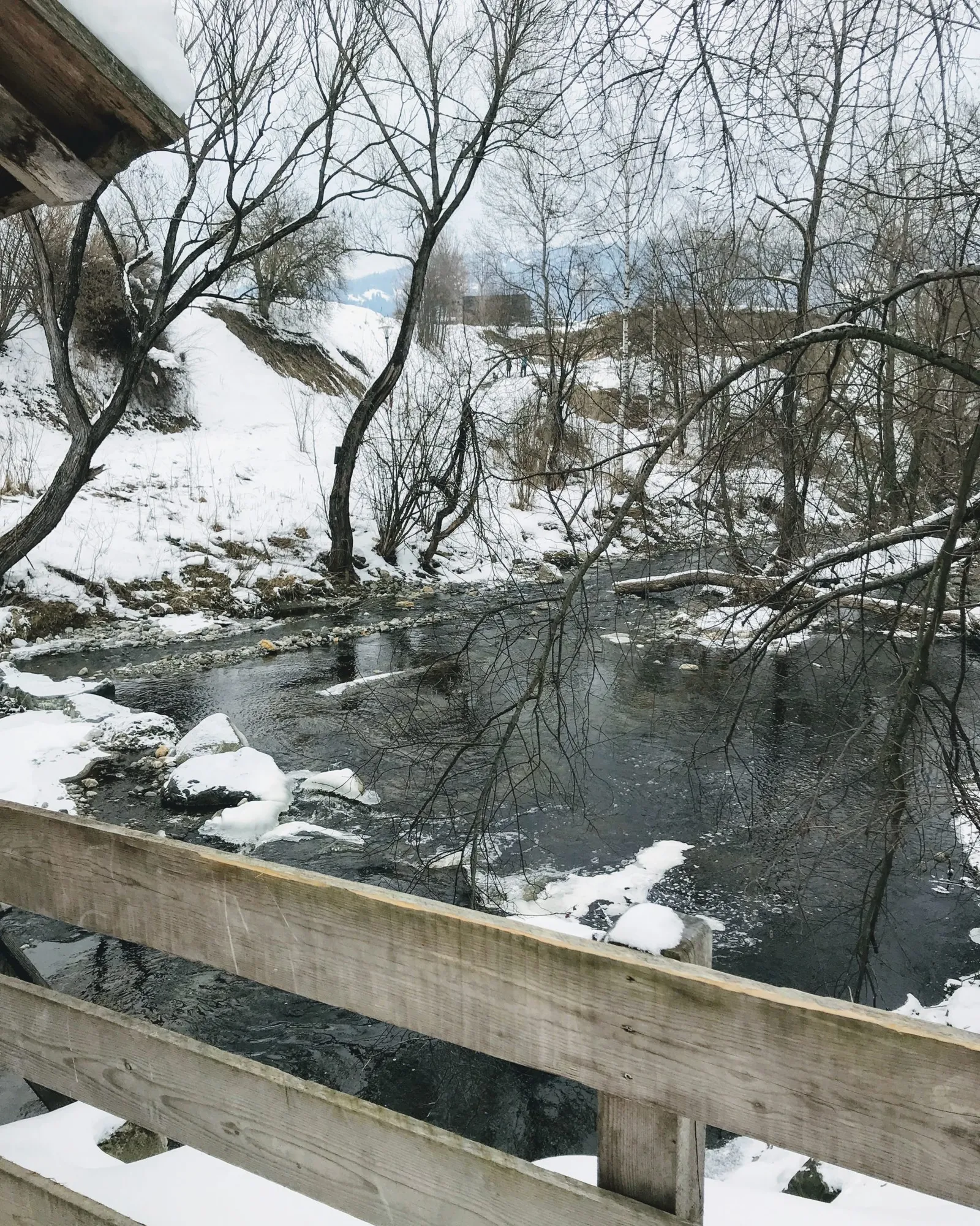 Hundeurlaub Steiermark