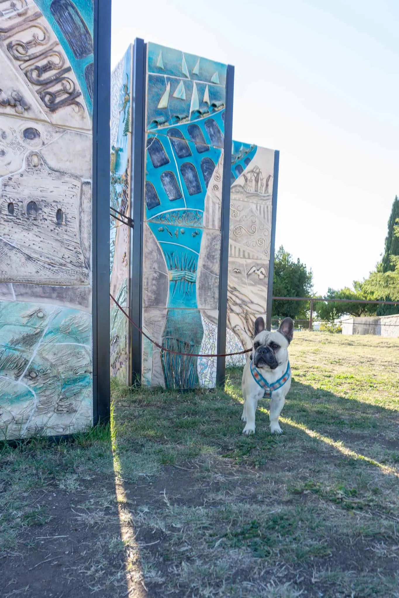 Urlaub Hund Pula Sightseeing Kroatien
