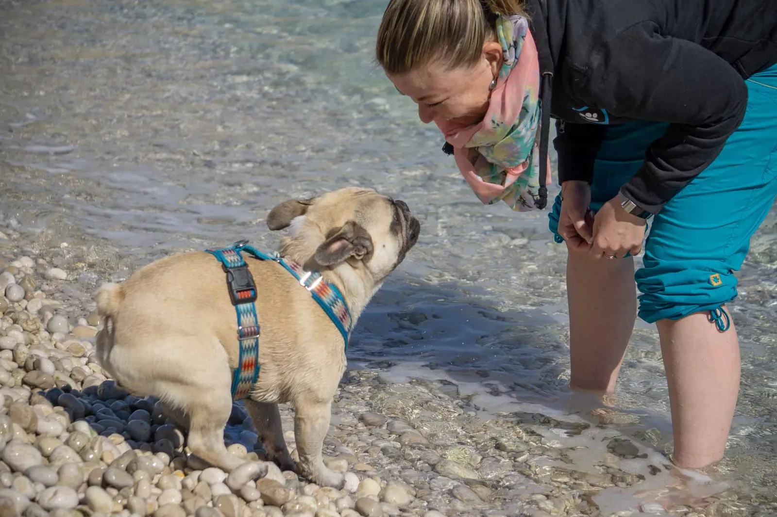 Urlaub Hund Kroatien Hundereise Rabac