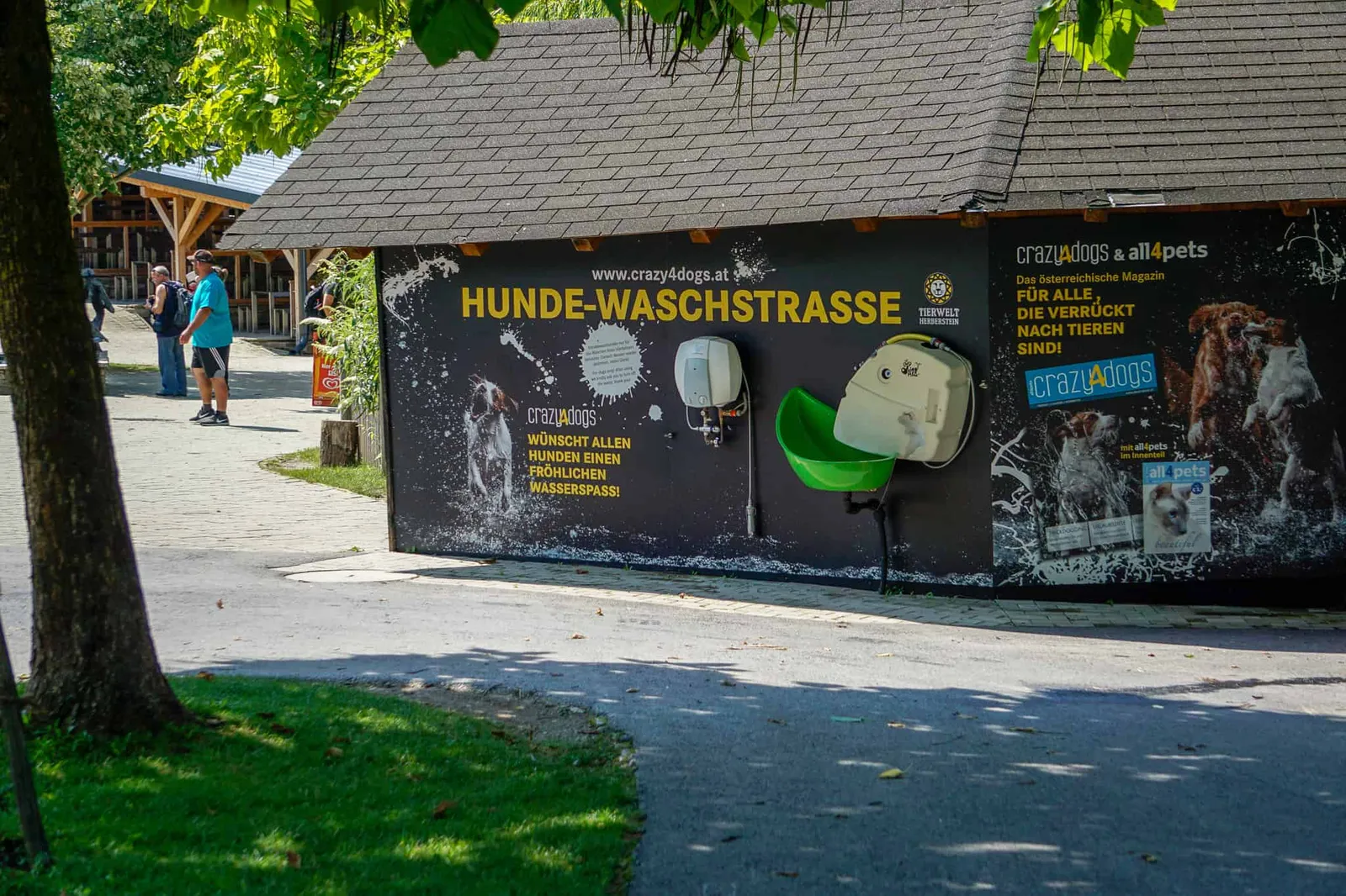 Ausflug Hund Tierpark Herberstein