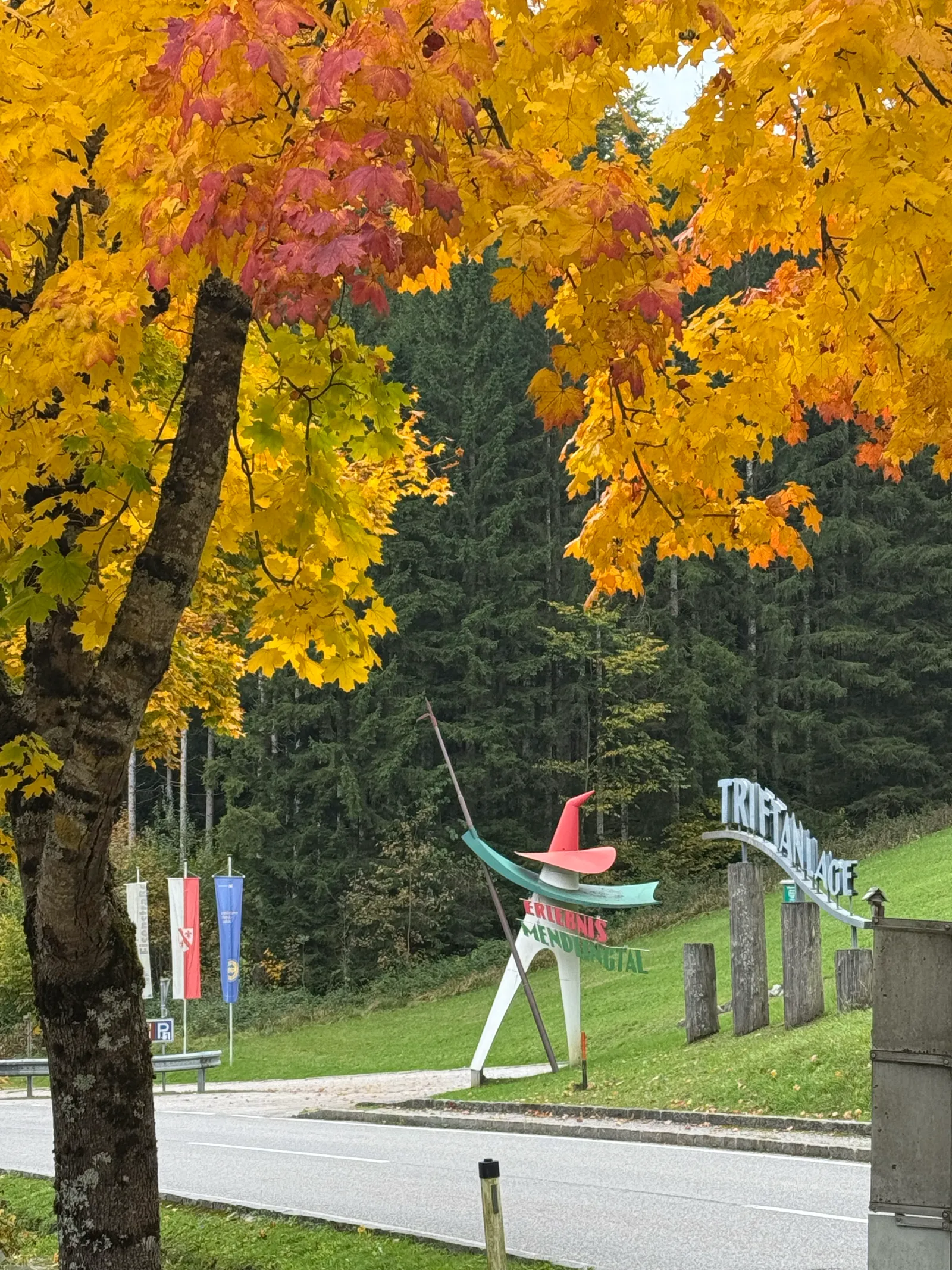 Eingangsbereich des Mendlingtals mit herbstlich gefärbtem Baum und dem Eingangsschild der Triftanlage.