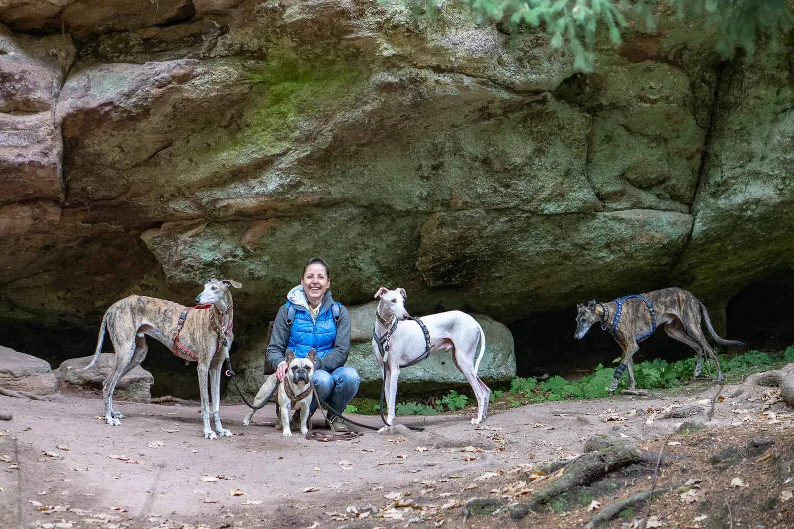 Hundereise Wandern Schwarzach Deutschland