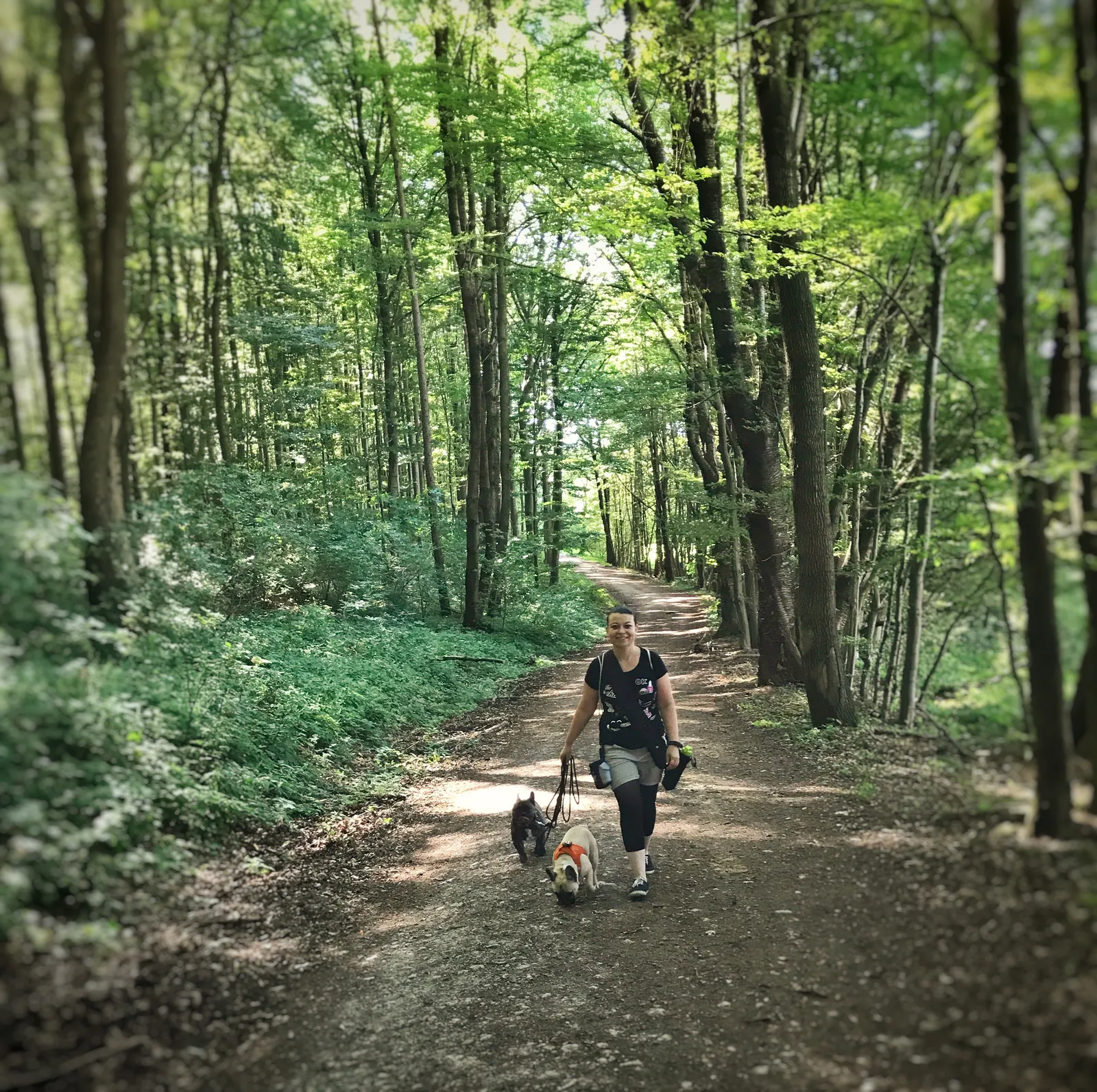 Ausflug mit Hund zur Meierei Füllenberg