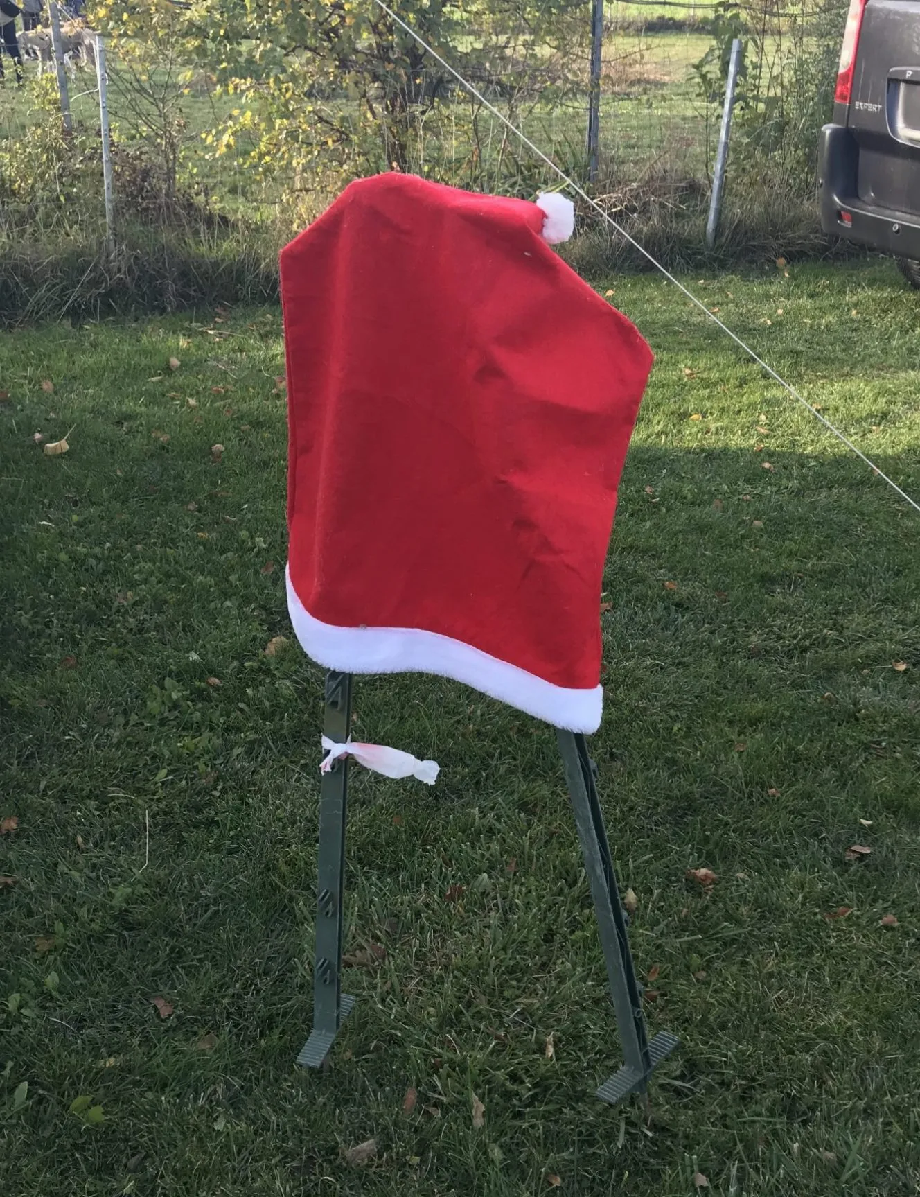 Ein Besuch am Windhundweihnachtsmarkt