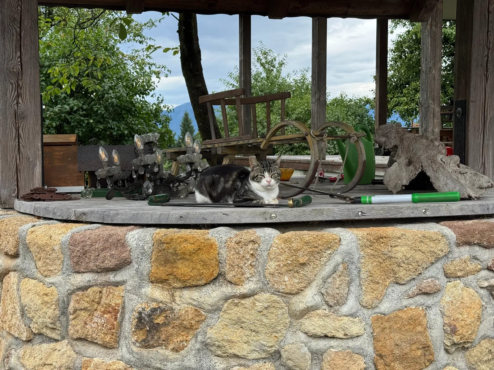 Eine Katze liegt auf dem Rand eines Steinbrunnens zwischen altem Werkzeug und Gerätschaften.