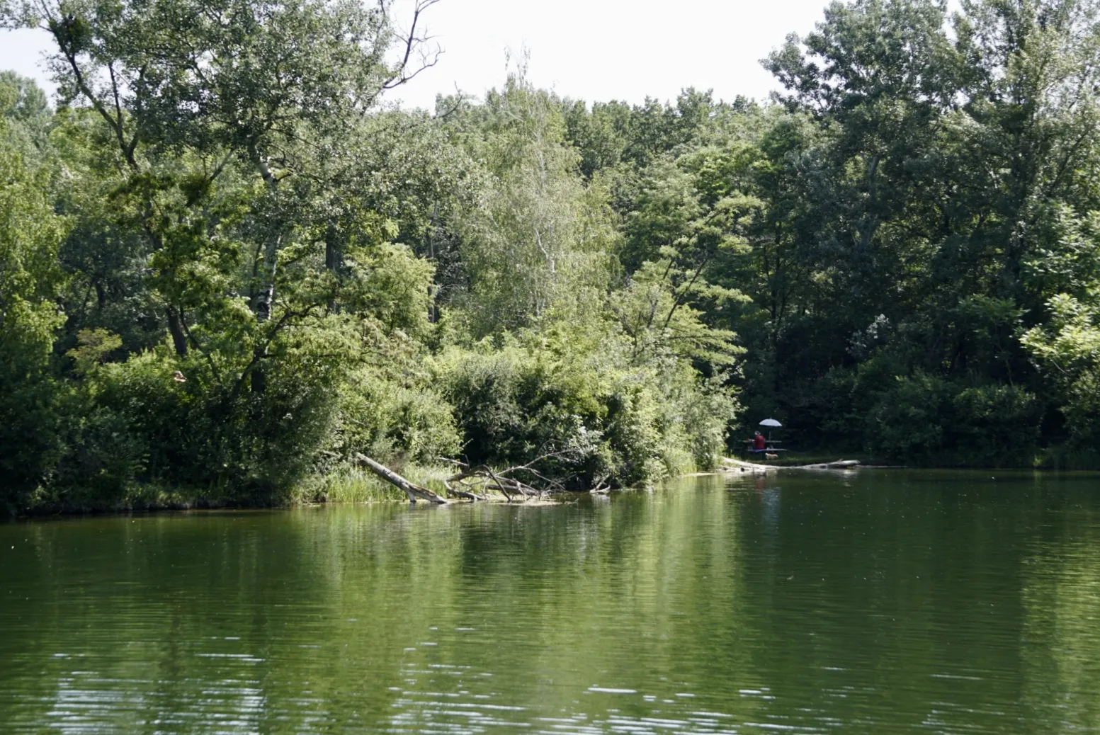 Lobau