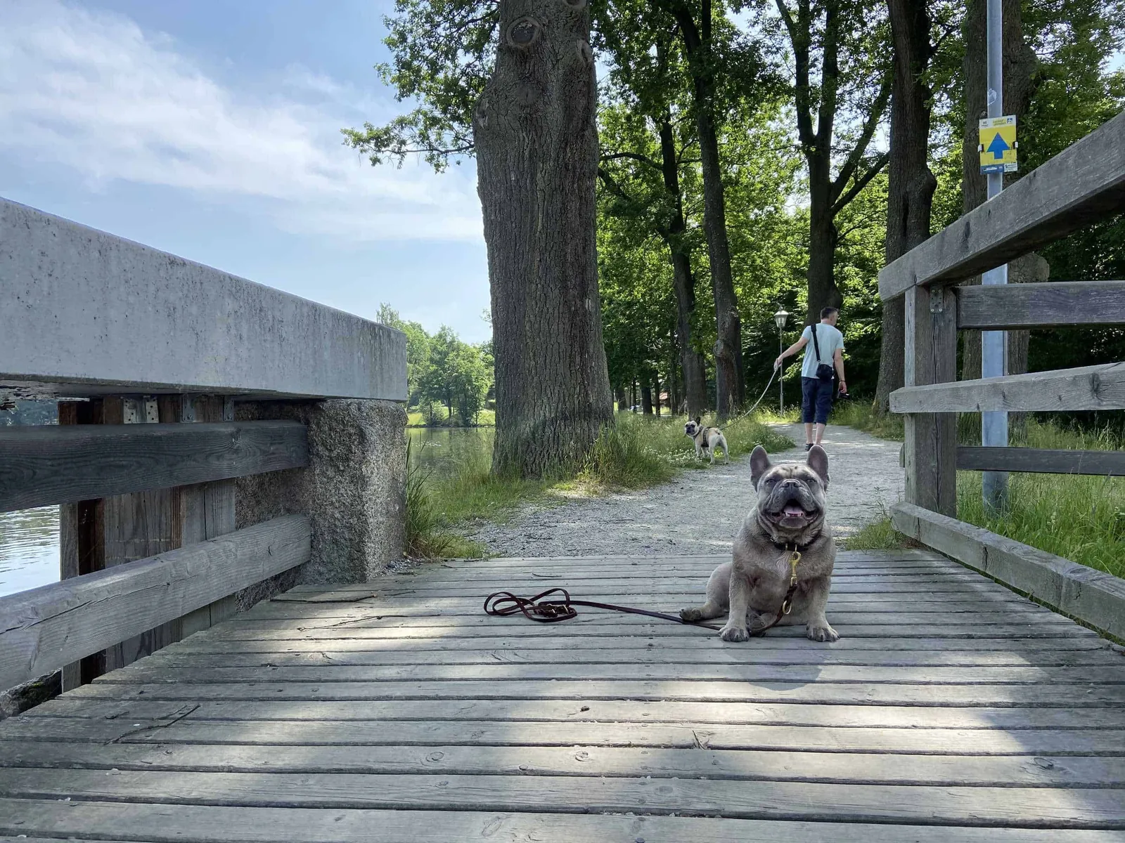 Archie sitzt auf der Brücke