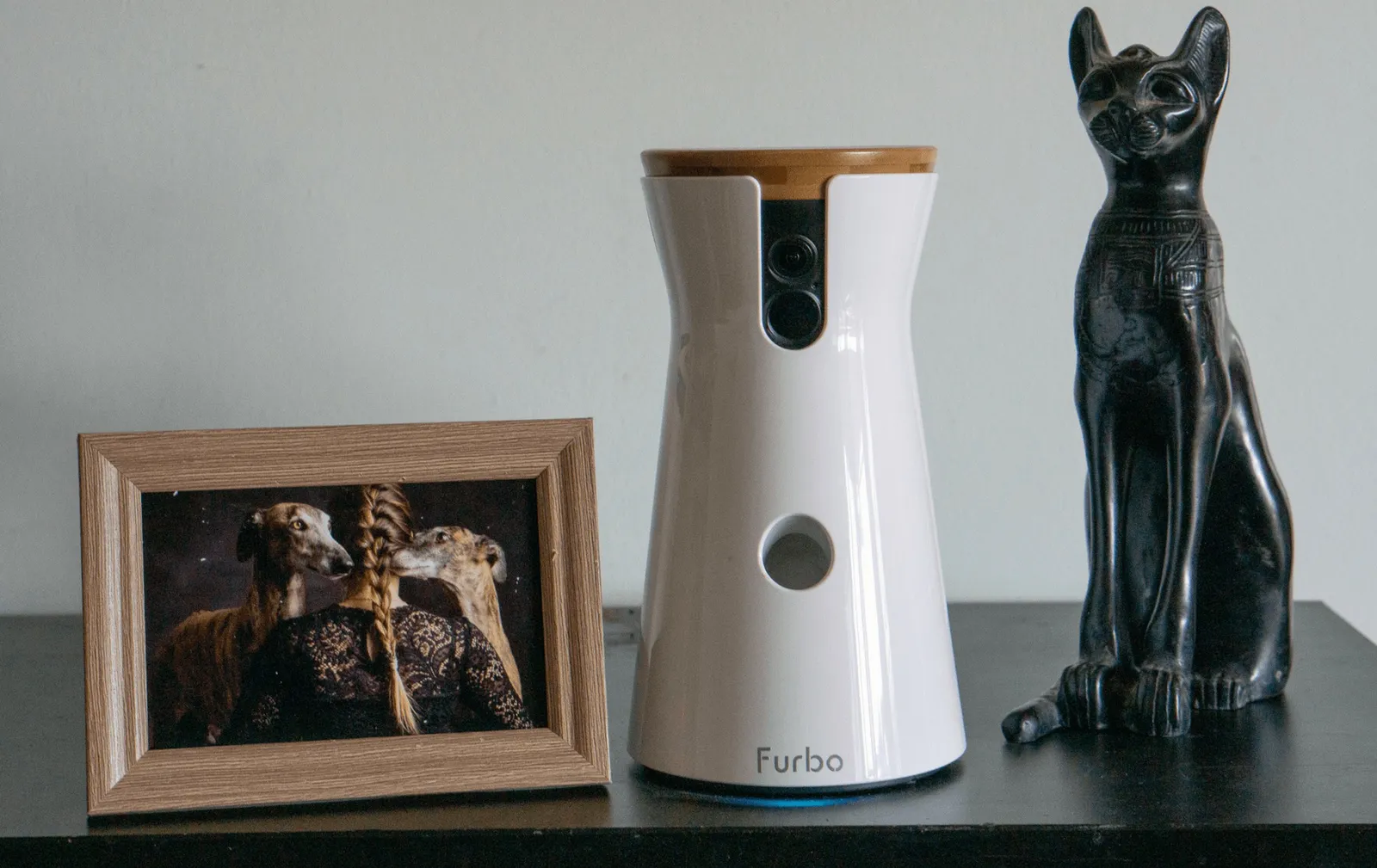 Die Furbo Hundekamera im Hundereise Test
