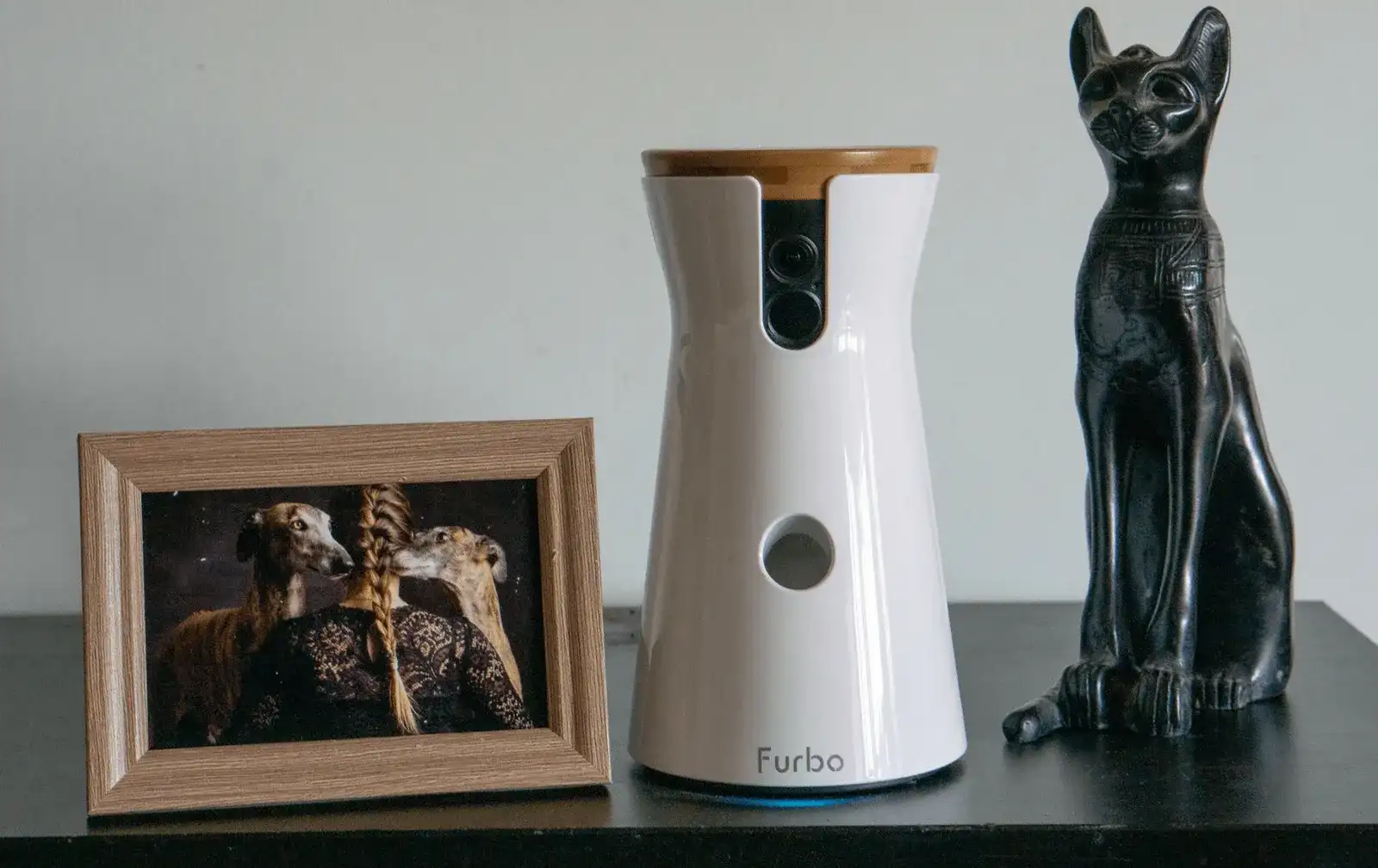Die Furbo Hundekamera im Hundereise Test