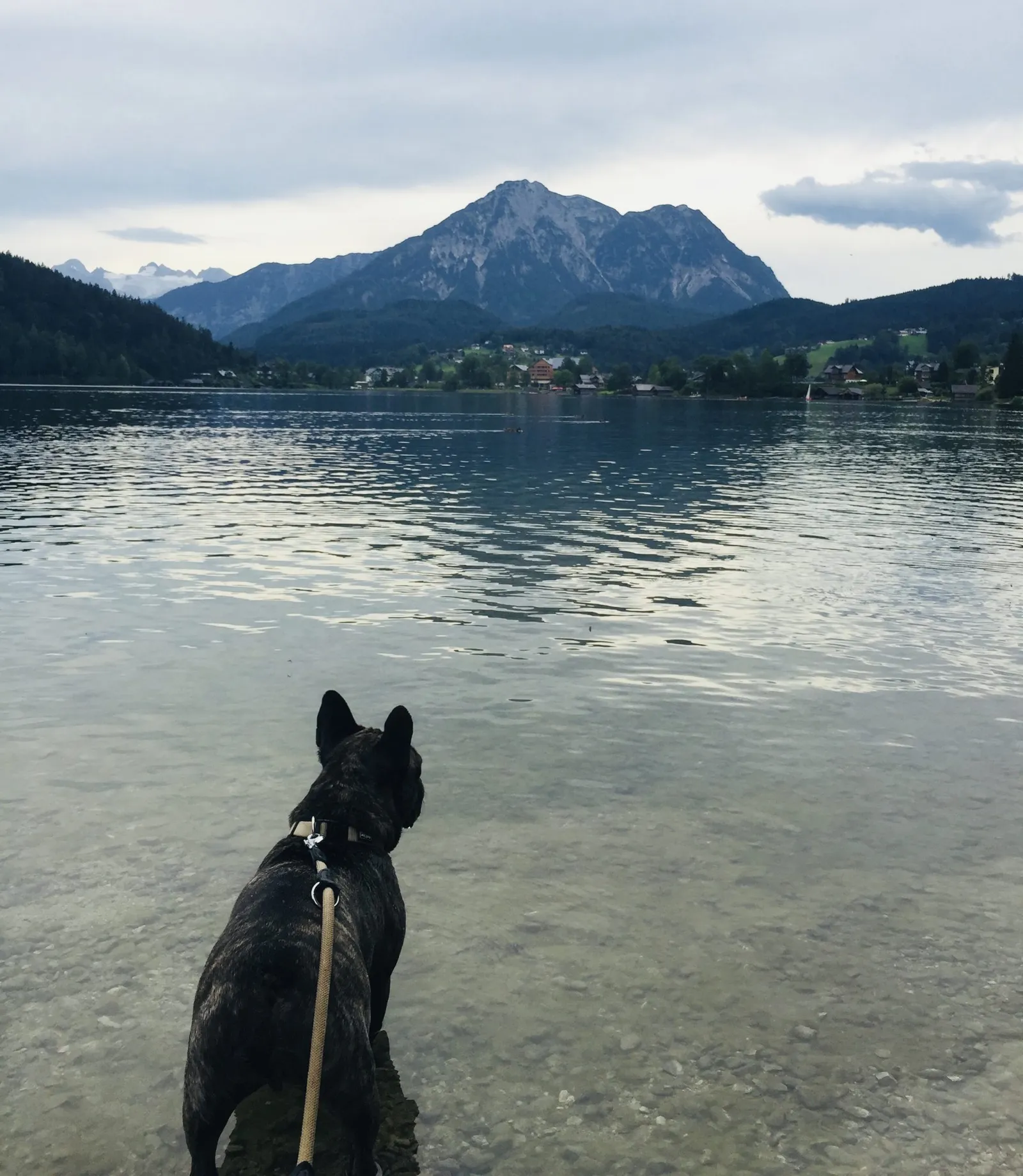 Altaussee mit Hund
