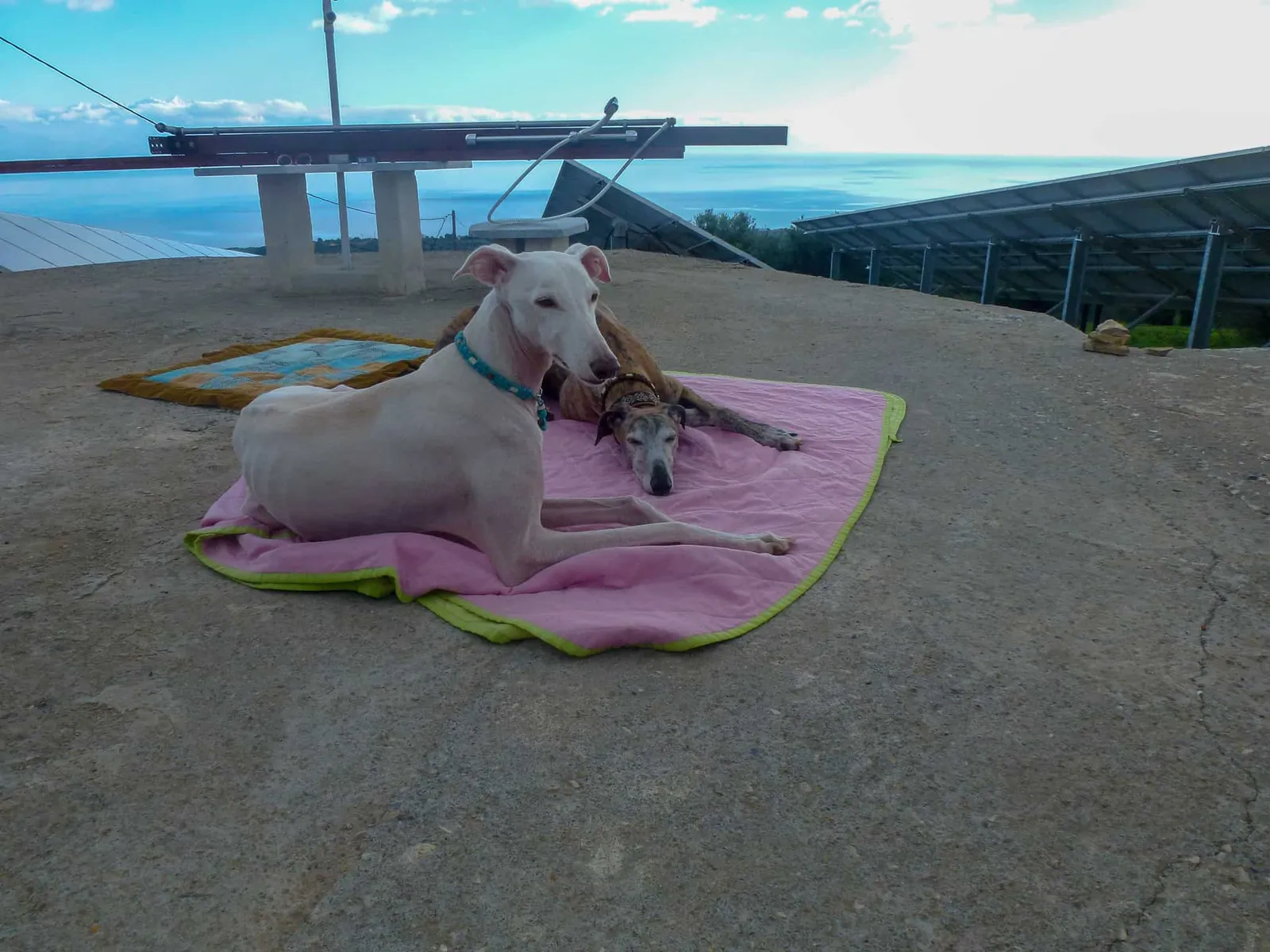 Urlaub mit Hund in Griechenland - über Aussteiger und Wanderungen