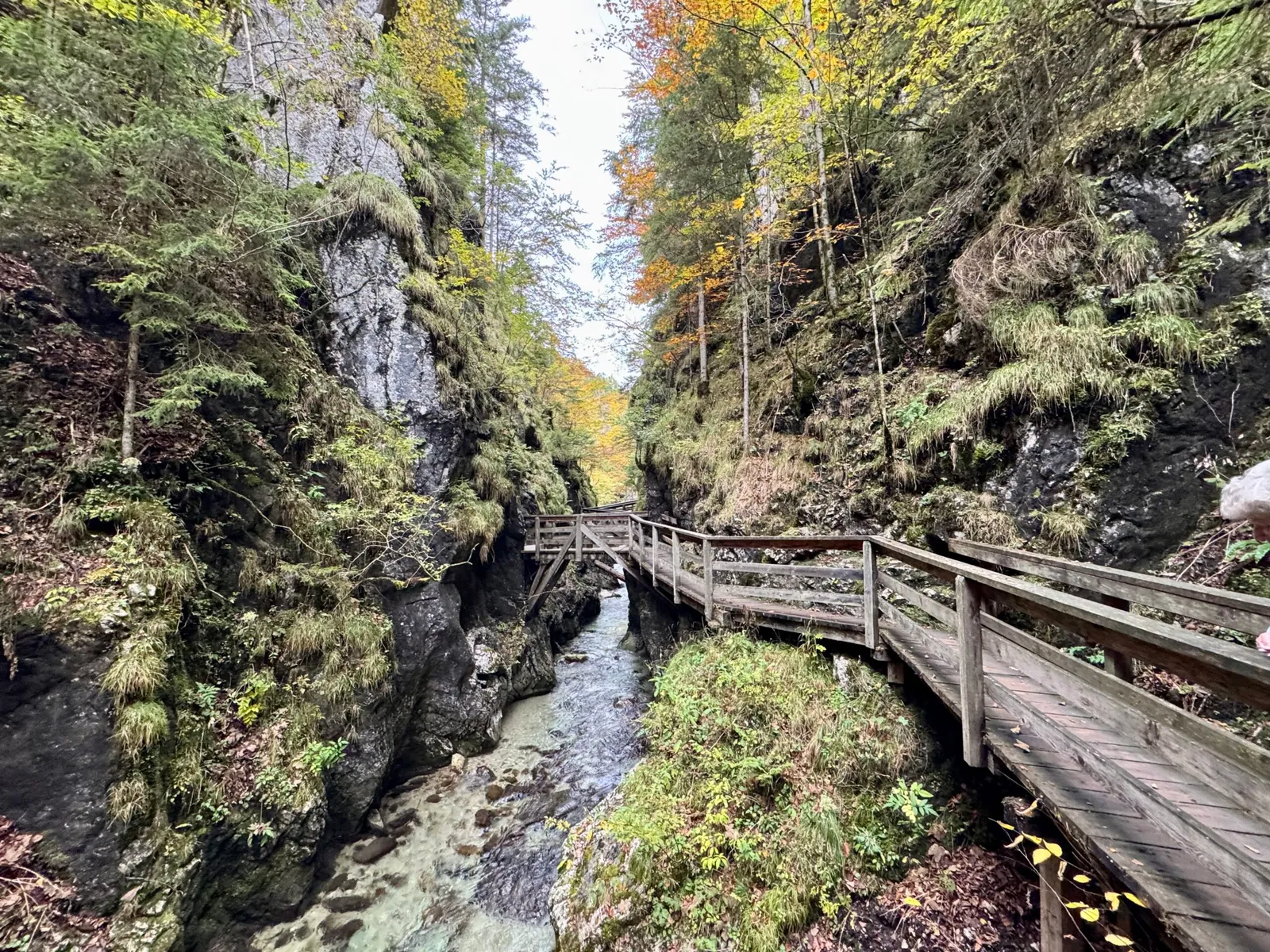 Holzsteg führt durch eine enge Felsenschlucht mit Bach im Mendlingtal.