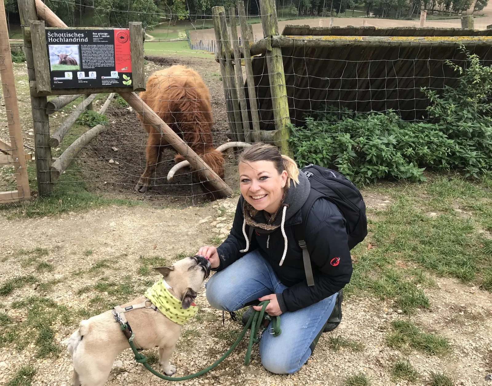 Ausflug mit Hund zu den Wölfen im Wildpark Ernstbrunn, NÖ