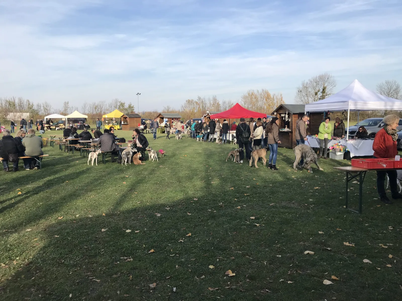 Ein Besuch am Windhundweihnachtsmarkt