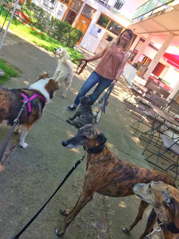 Intensiv Seminar Mensch-Hund-Beziehung