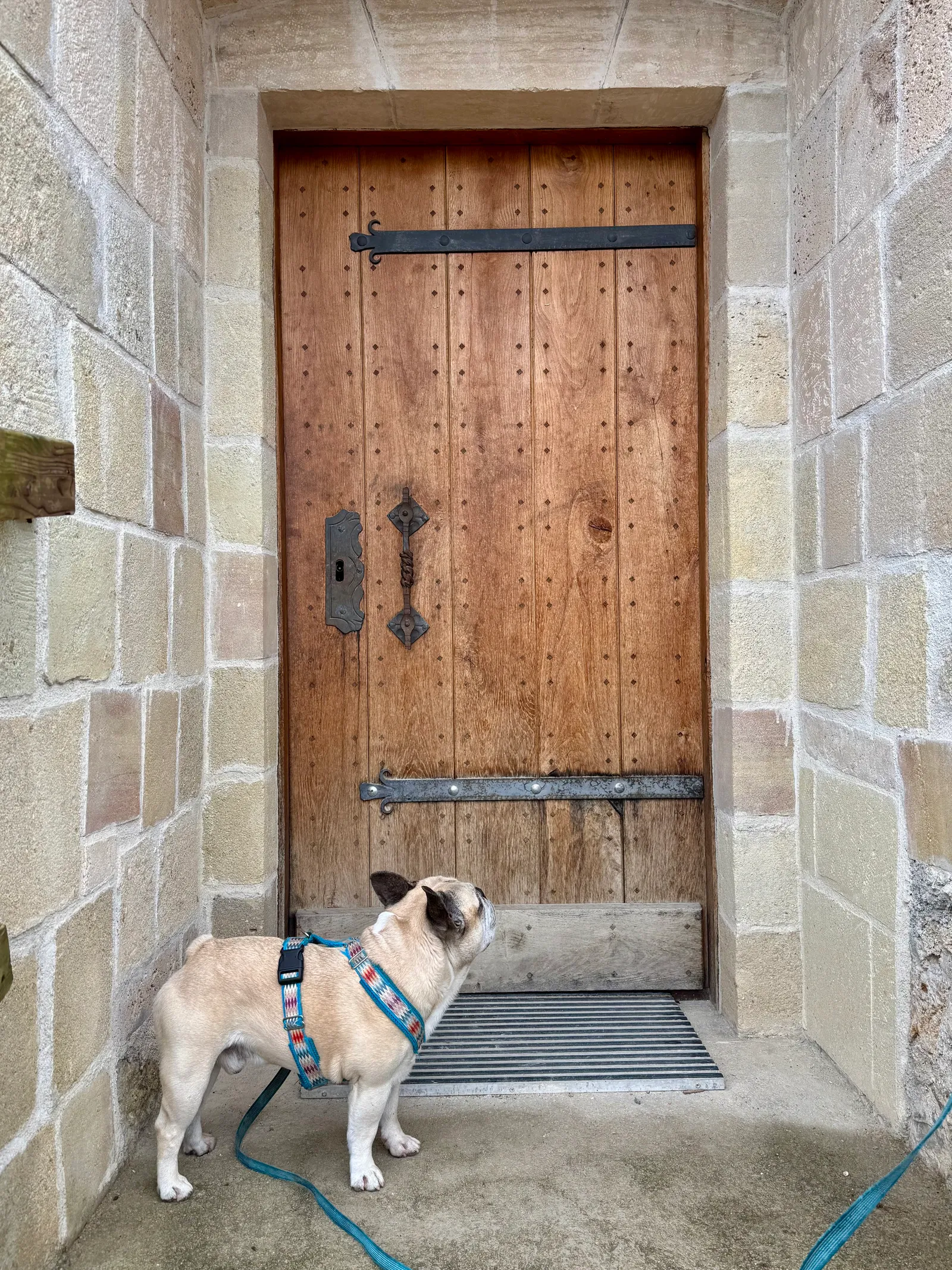 Murphy steht vor einer schweren Holztür im Steinportal der Burg Žovnek und schaut nach oben.