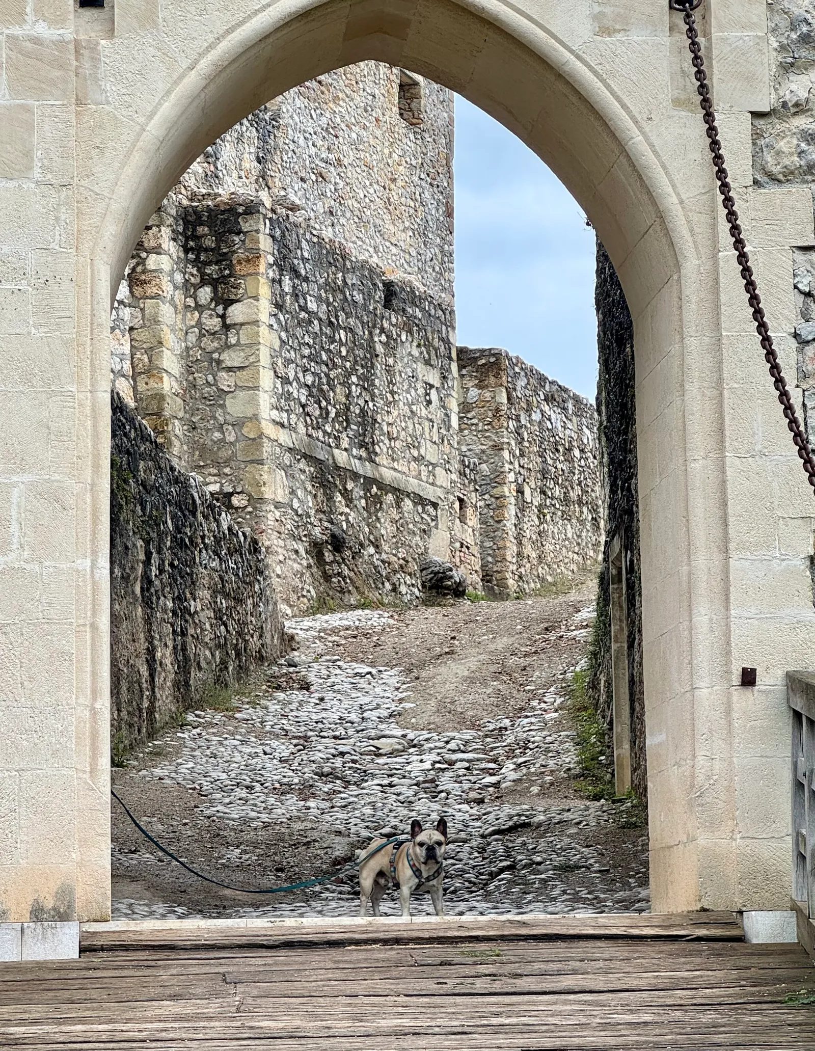 Murphy steht in einem spitzen Torbogen der Burgruine Grad Žovnek auf einem Kopfsteinpflasterweg.
