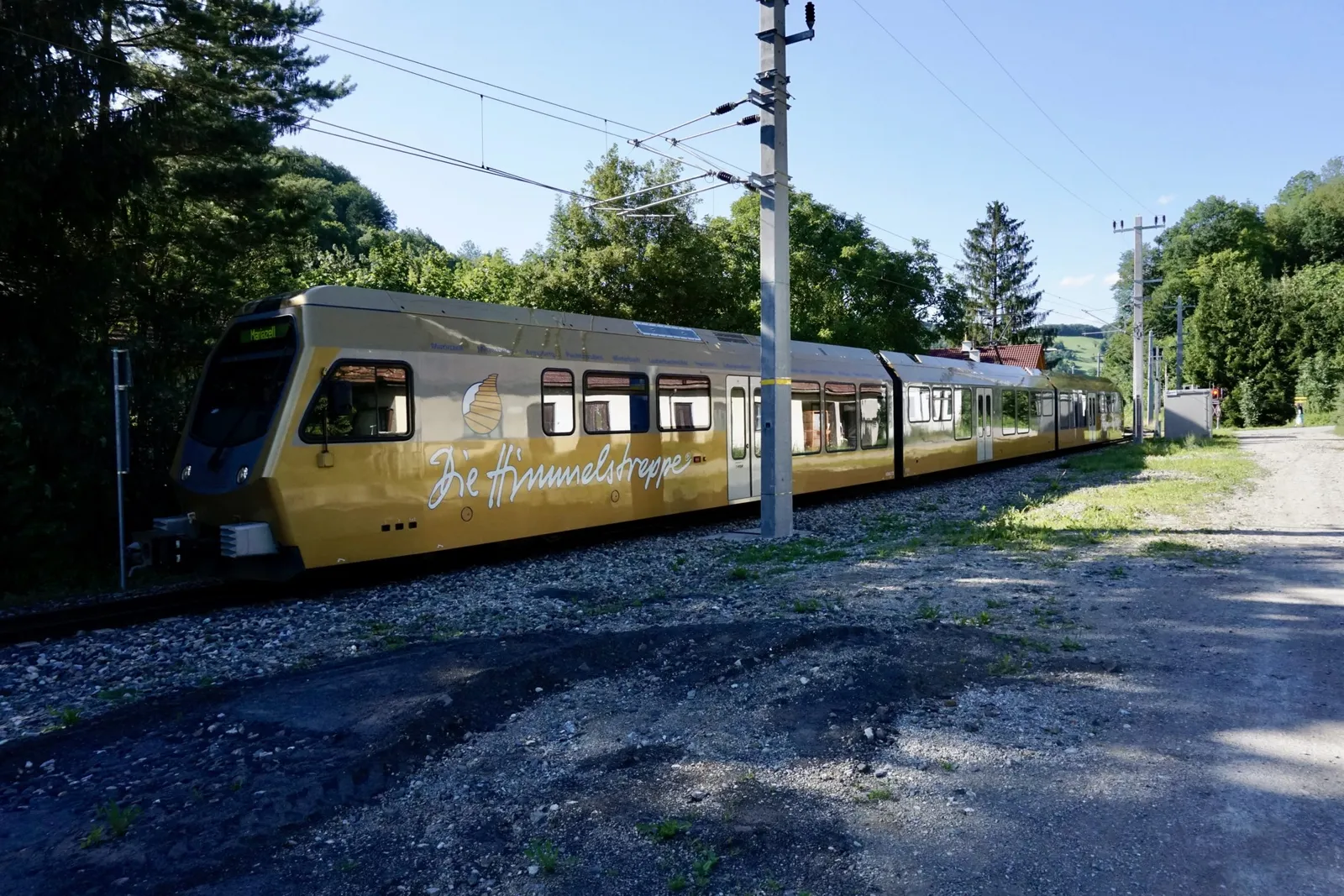 DSC5948