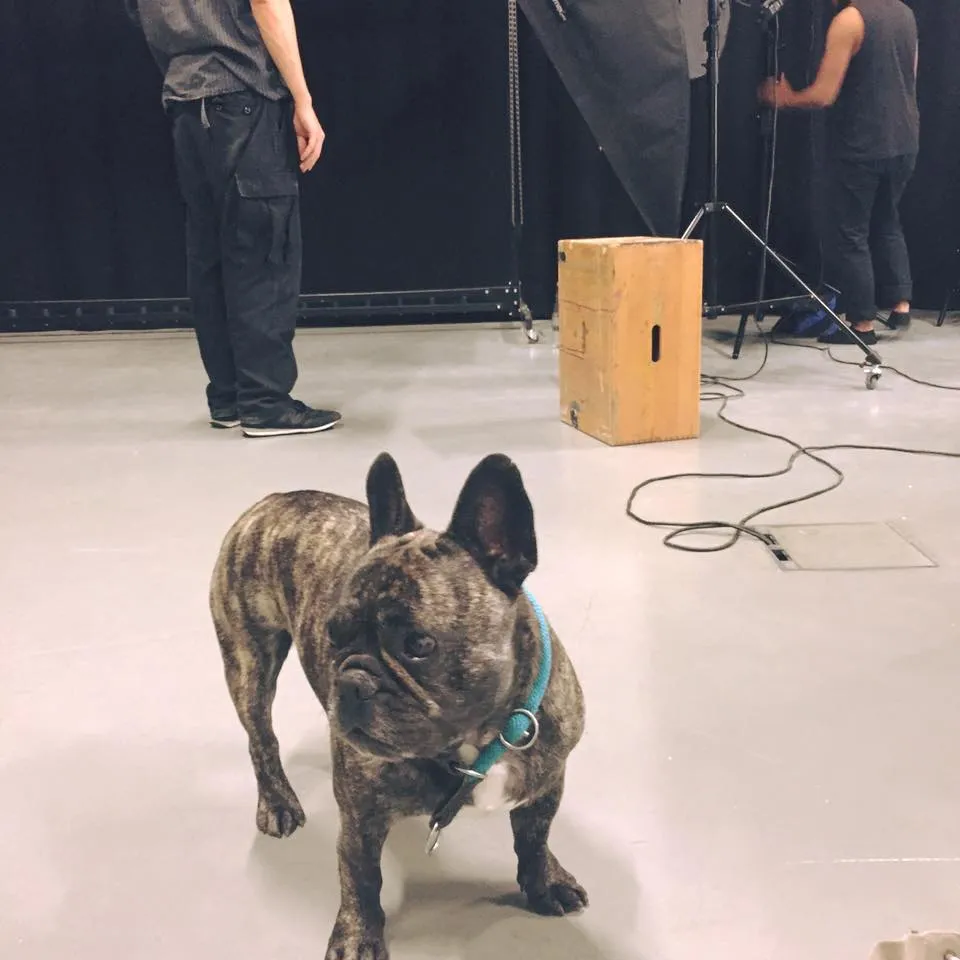 Che Backstage