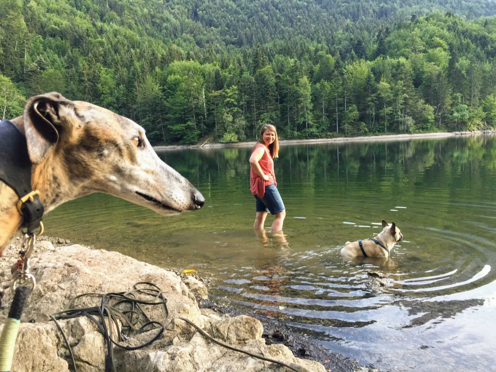 Nussensee