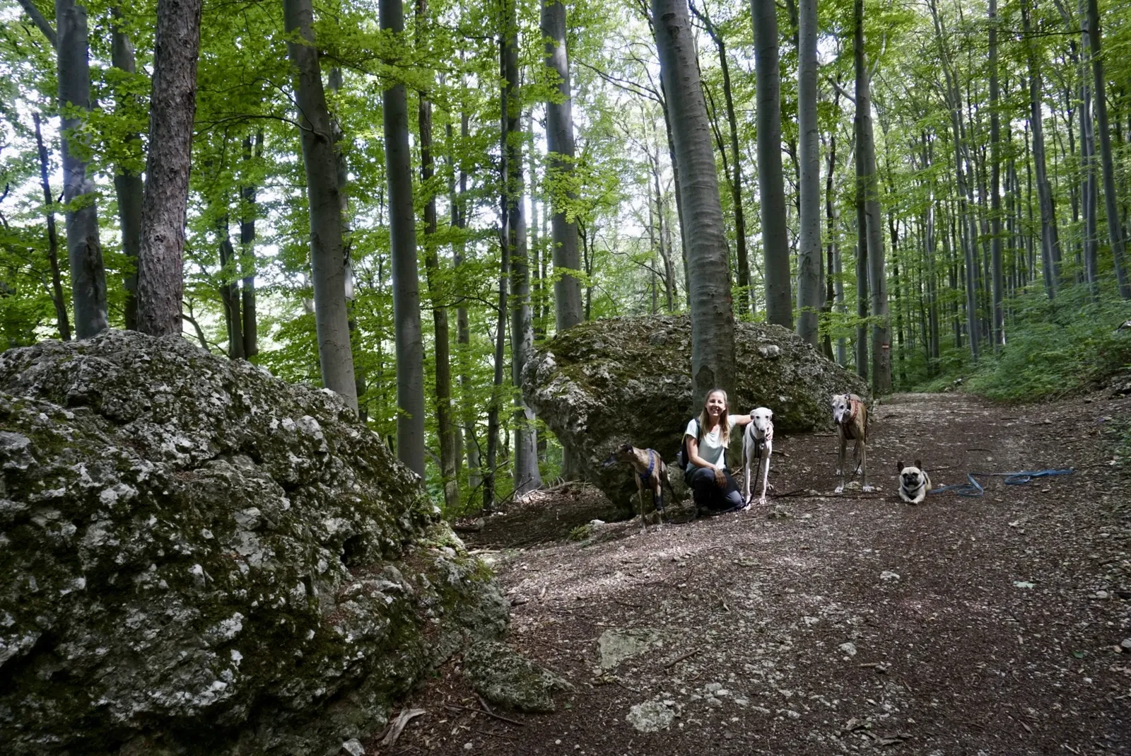 Peilstein Rundweg