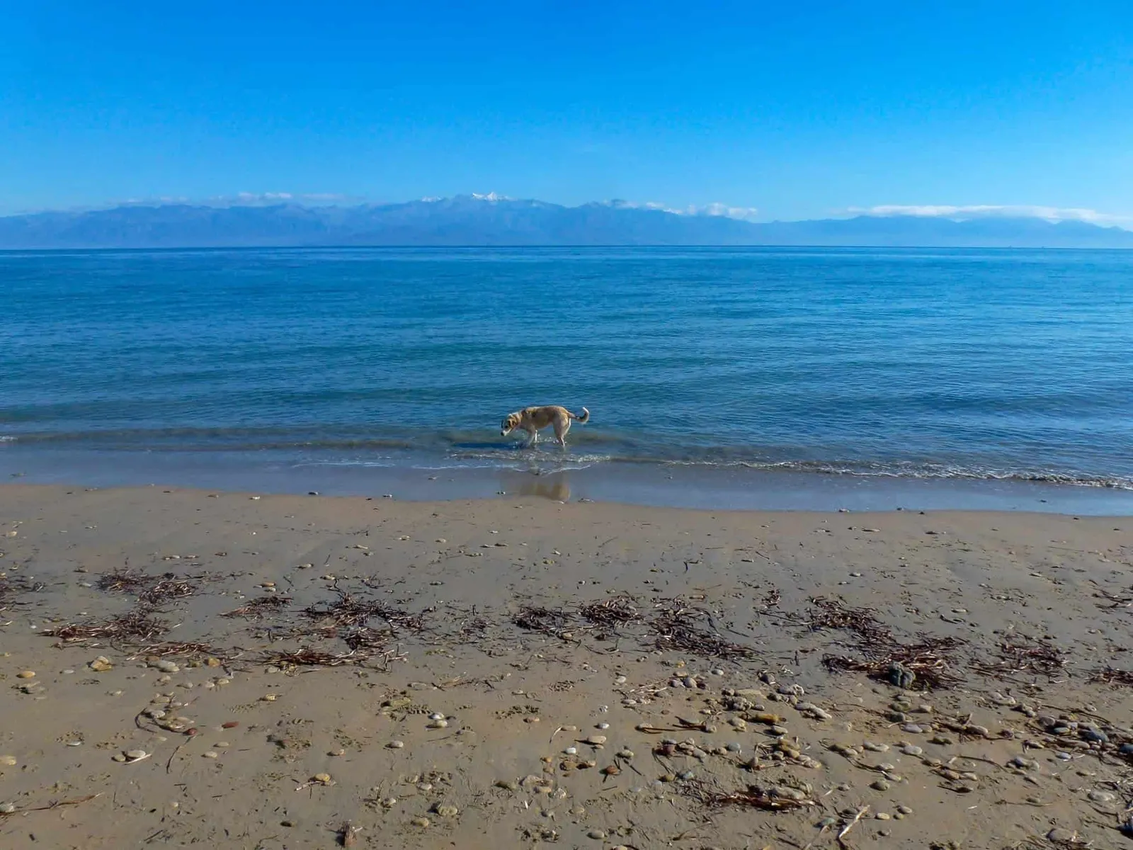 Urlaub mit Hund in Griechenland - die Strände