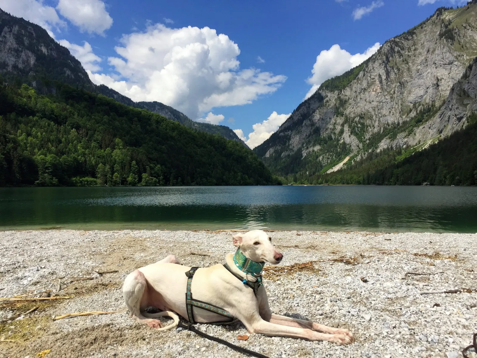 Leopoldsteiner See Hundereise