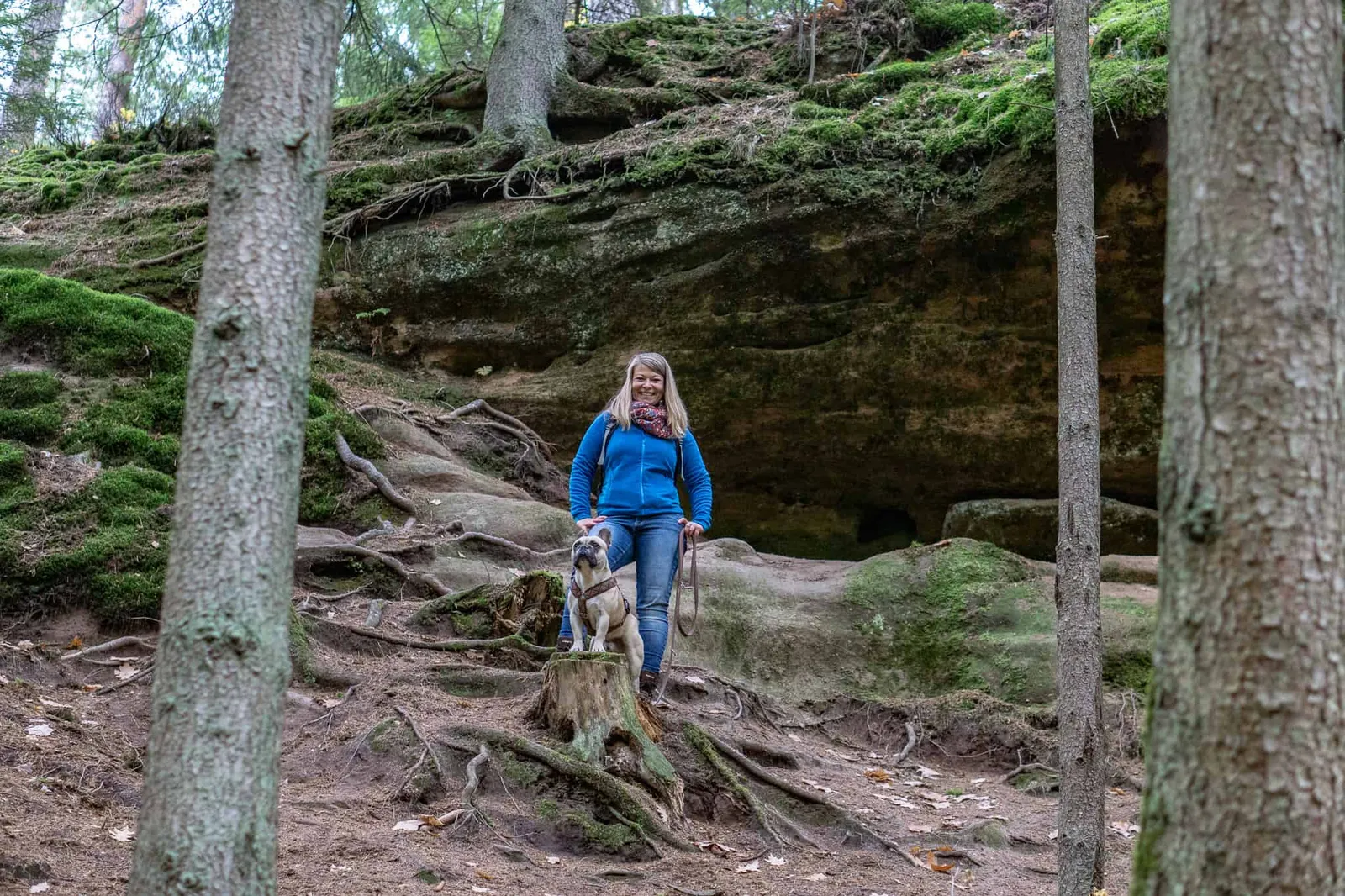 Hundereise Wandern Schwarzach Deutschland