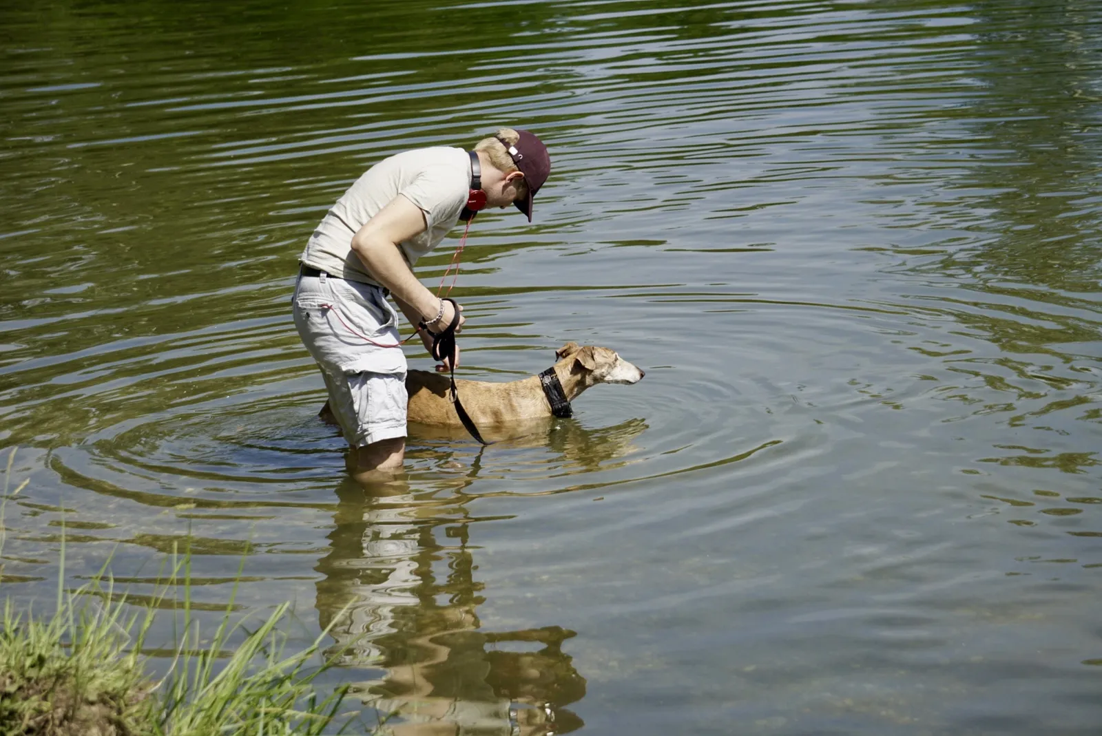 Galgo