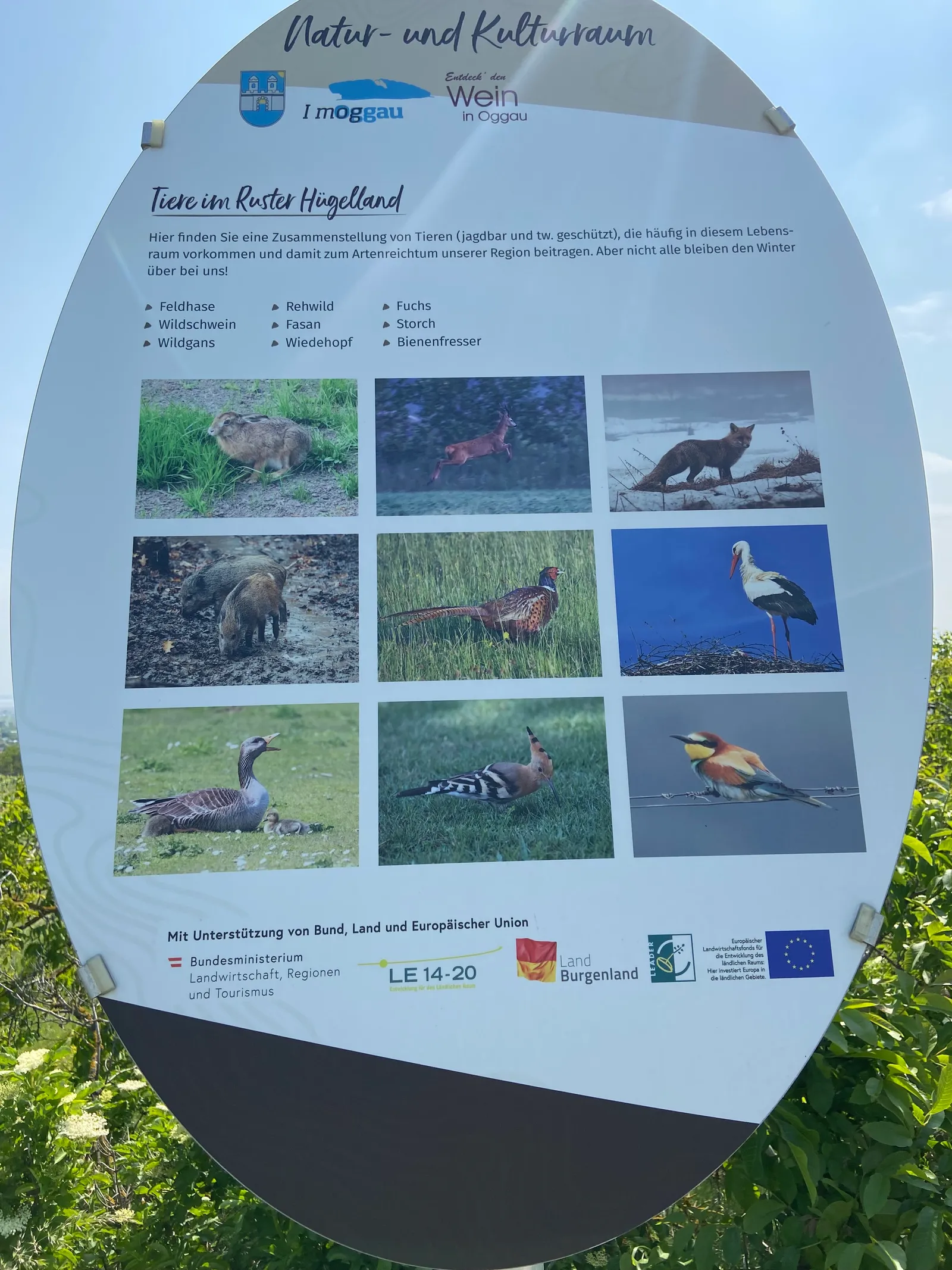 Infotafel-Tiere_Oggau-Weinwanderweg