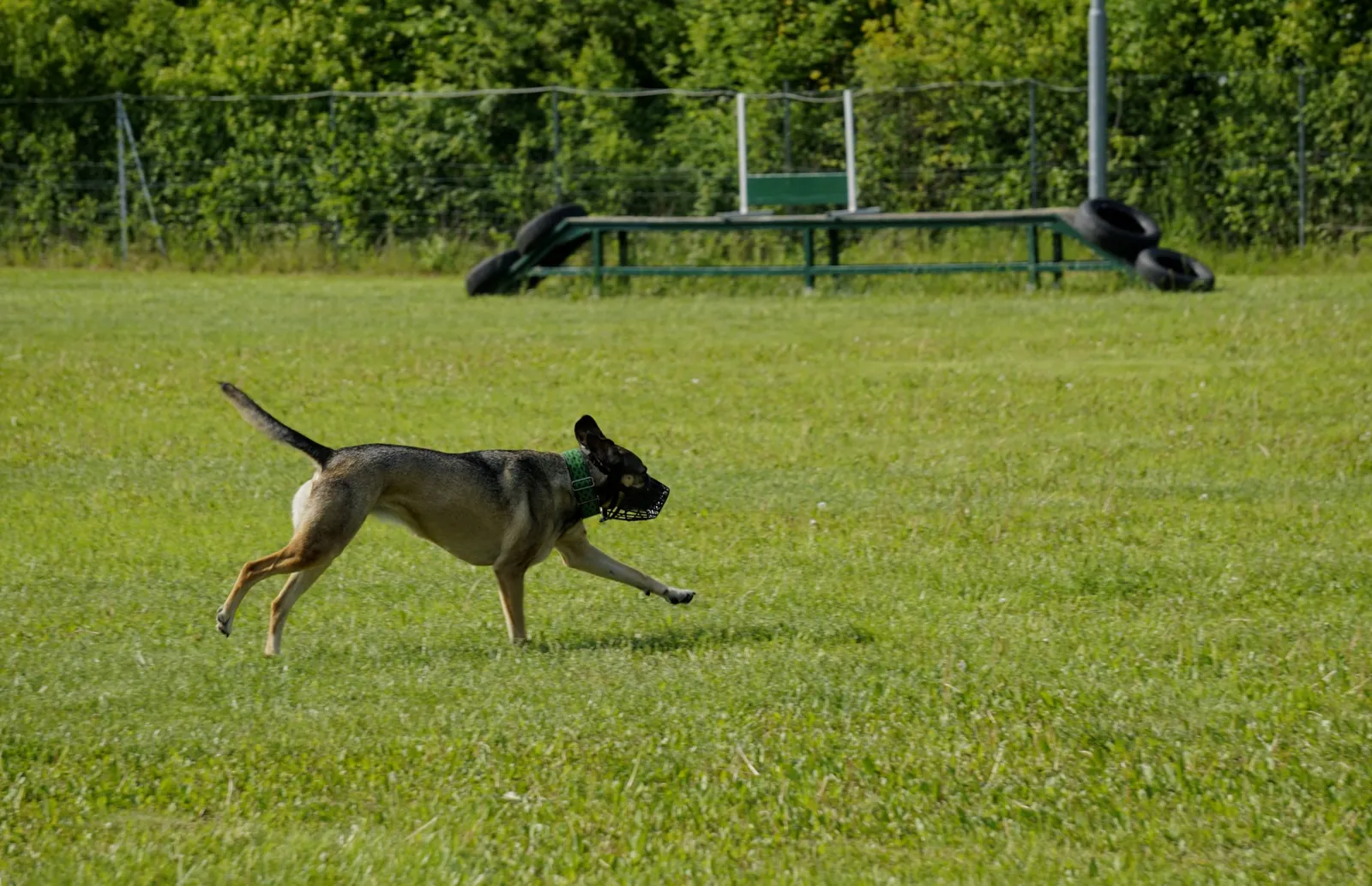 DSC2543