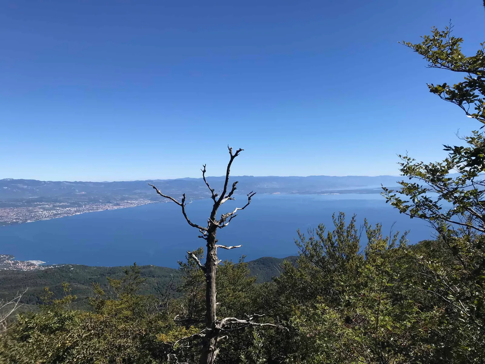 Urlaub Wandern Hund Vojak Kroatien