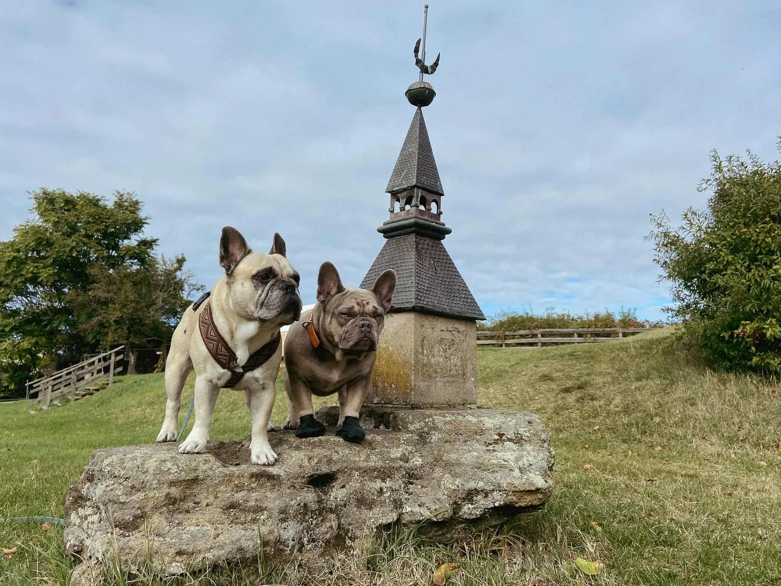Murphy und Archie mit einer kleinen Burg Güssing