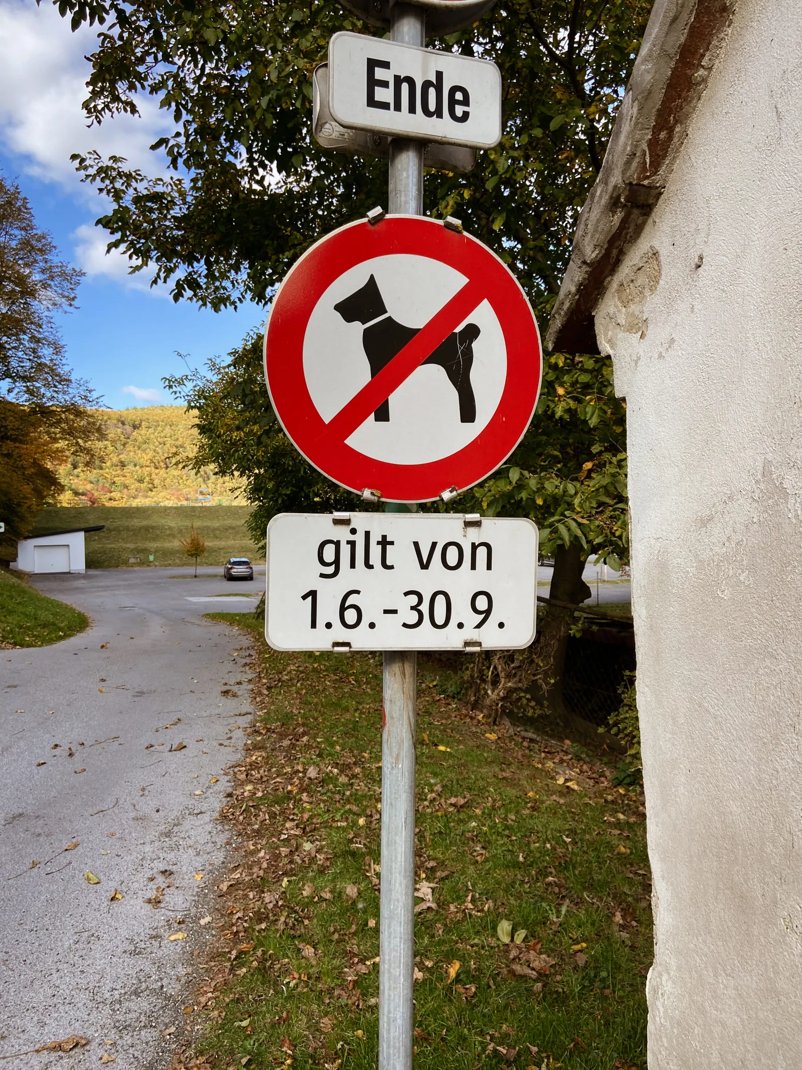 Hundeverbotstafel, gilt von 1.6. - 30.9. beim Badesee Rechnitz im Burgenland