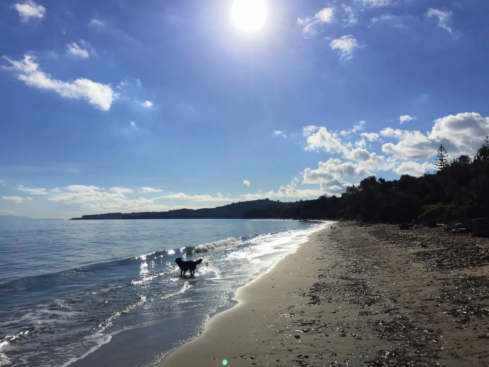Urlaub mit Hund in Griechenland - die Strände