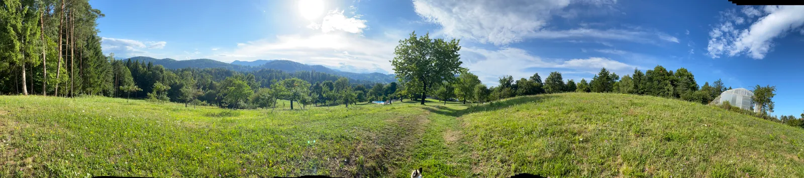 Panoramablick über Wiesen und Bäume im Lavender Hill Eco Resort mit Bergen im Hintergrund.