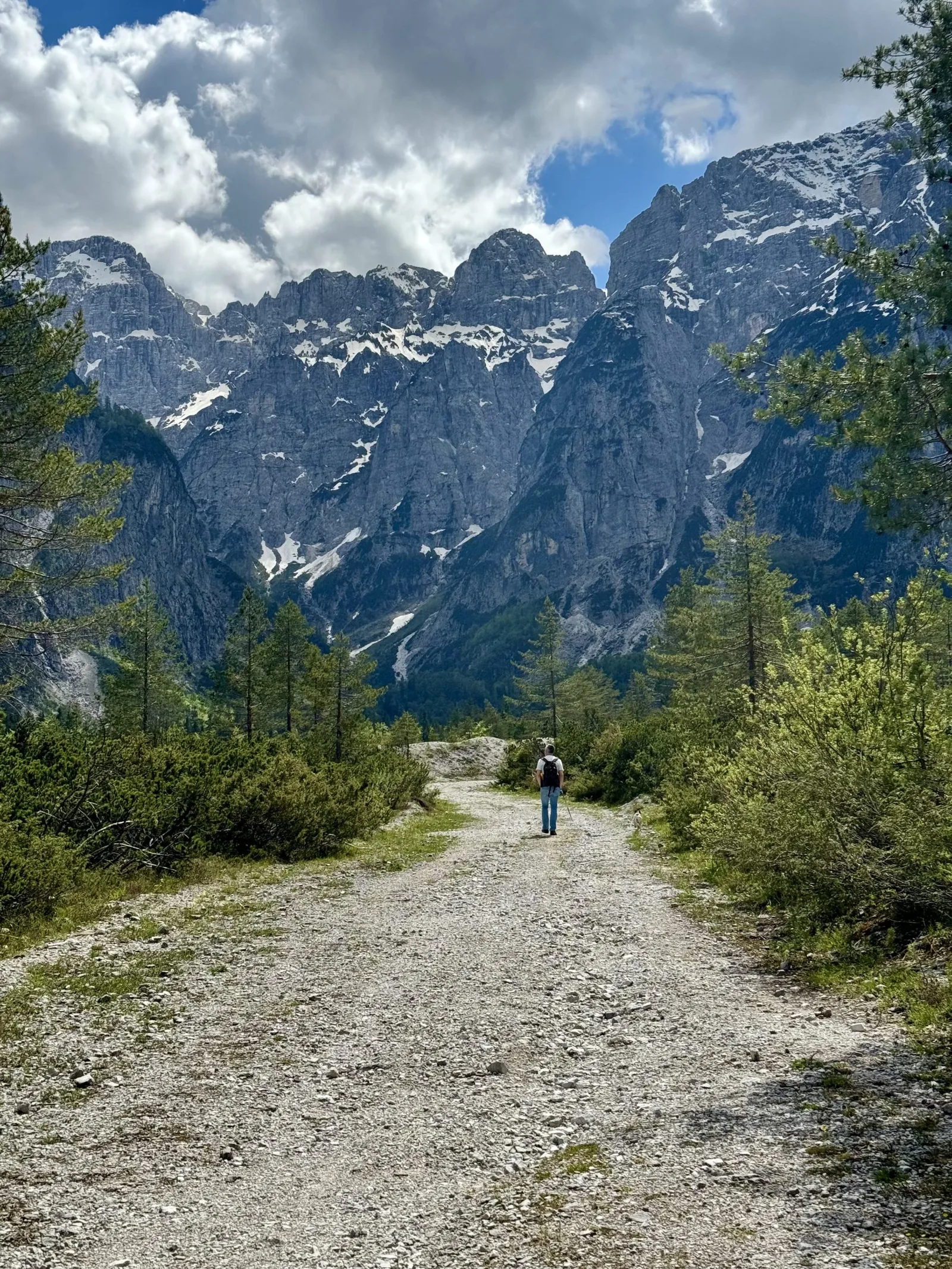 Schotterweg durch den Val Saisera, beiderseits Bäume und Büsche, dahinter mächtige Felswände.