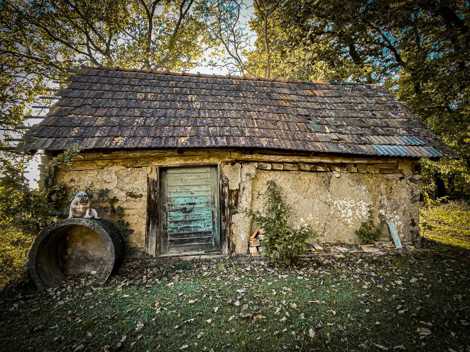 Archie vor einer kleinen alten Lehmhütte