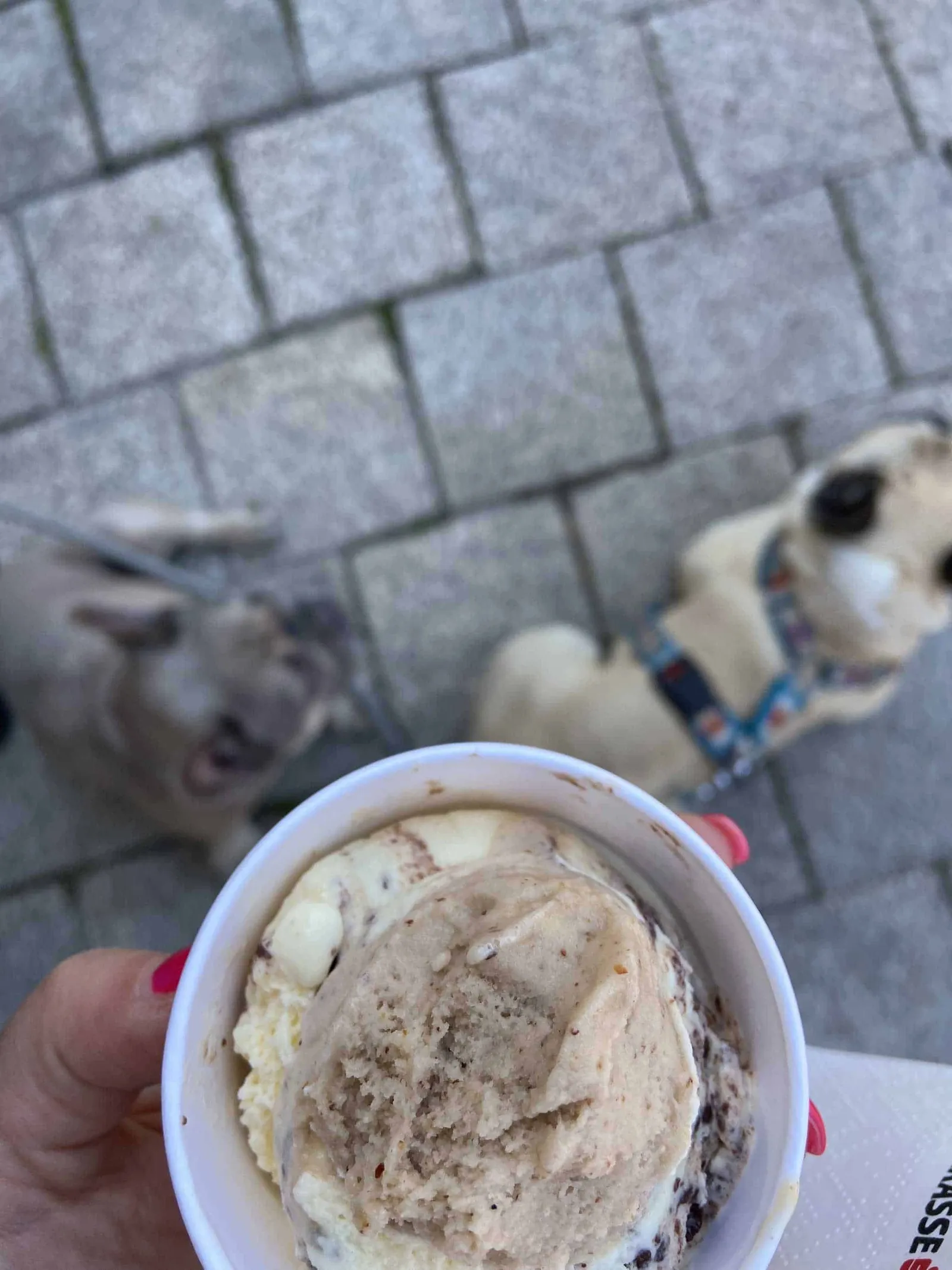 Eis vom Eisgreissler in Weitra