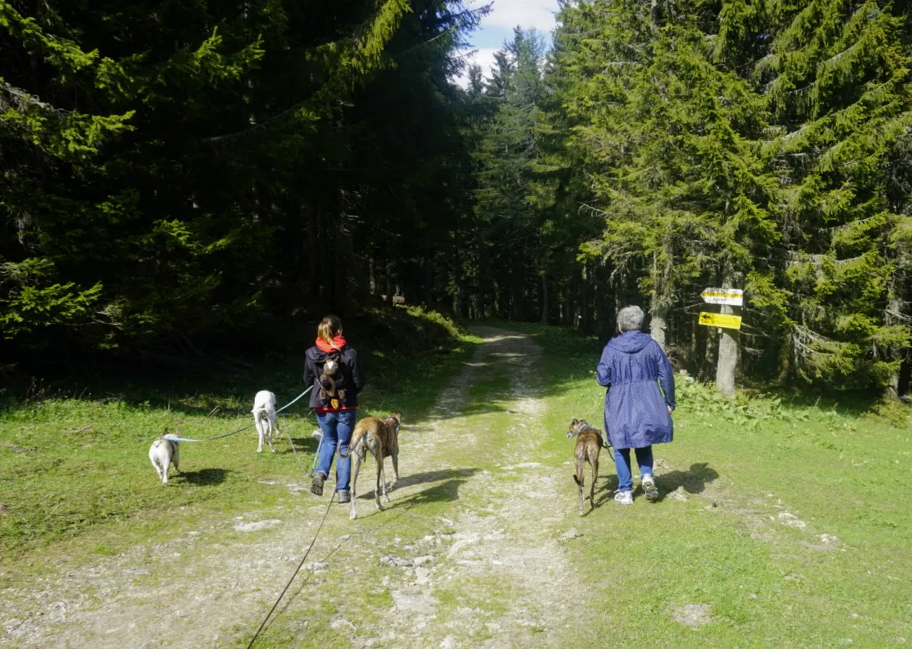 Eisenerzer Reichenstein