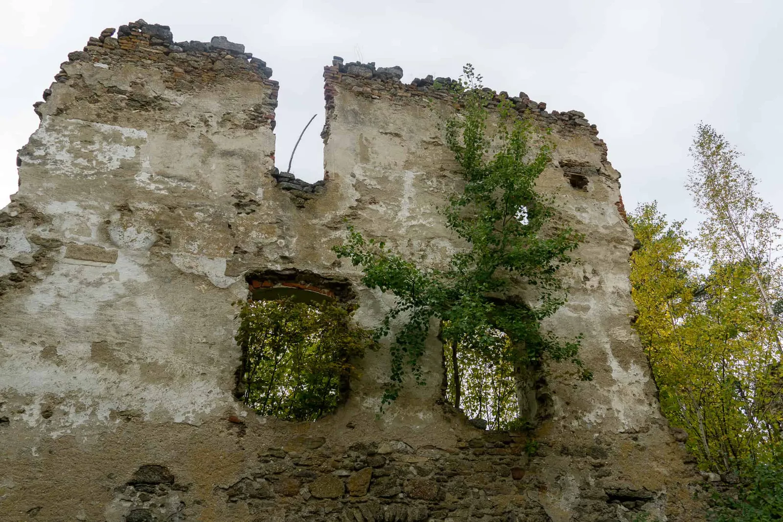 Ruine Lichtenfels Hundereise