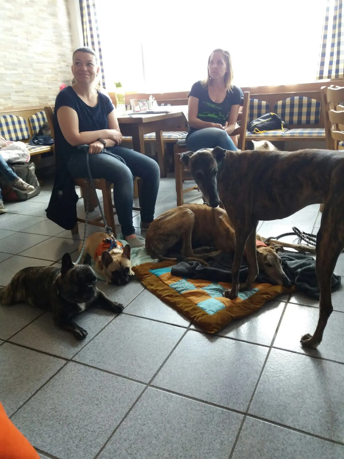 Intensiv Seminar Mensch-Hund-Beziehung