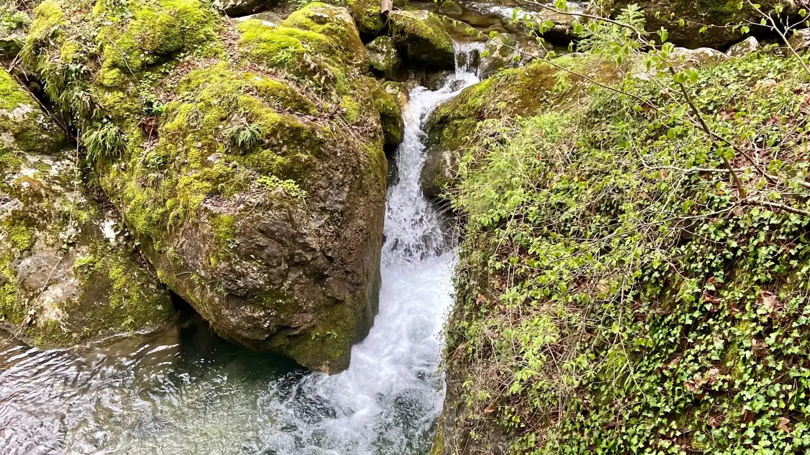 Myrafälle mit Hund, Ausflug in NÖ