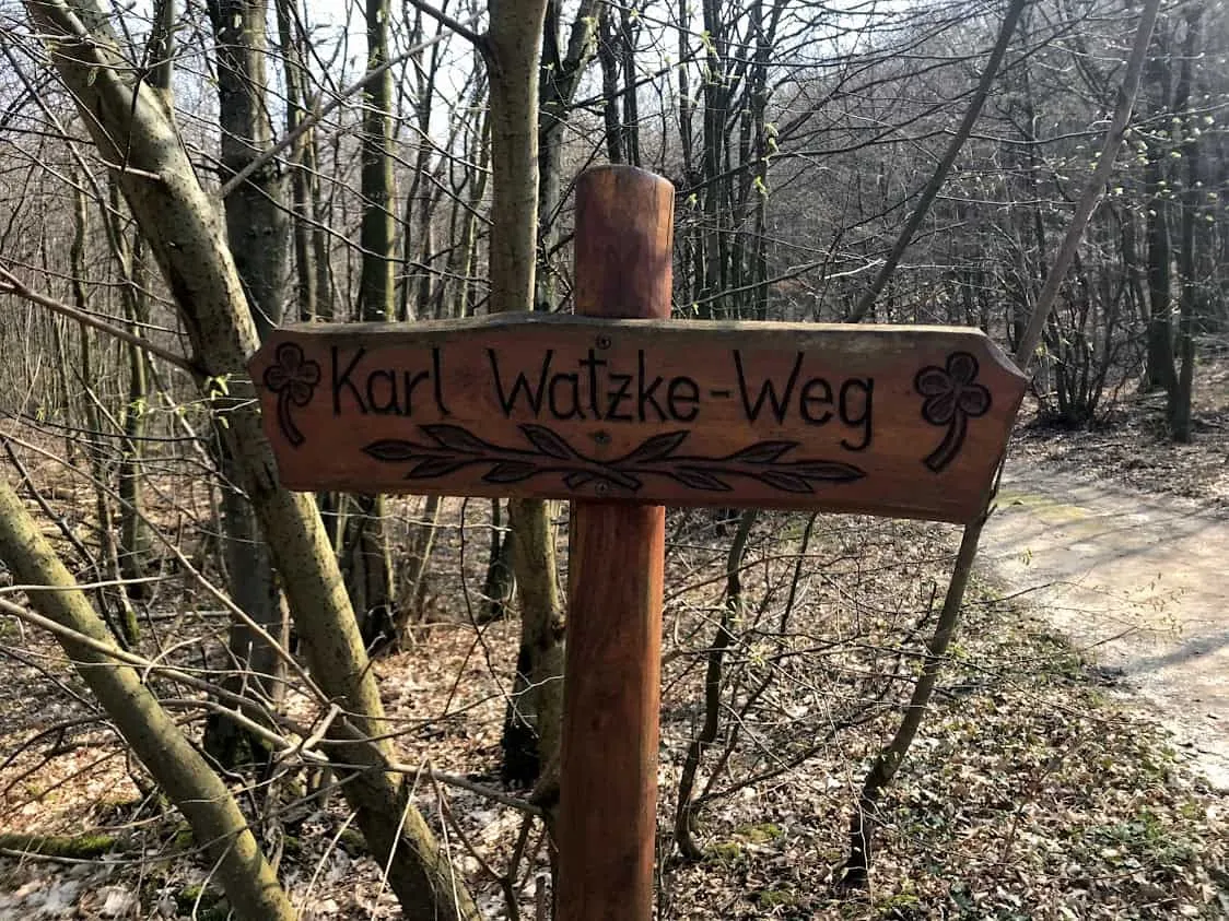 Hundefreundliche Wanderung in Donnerskirchen, Burgenland