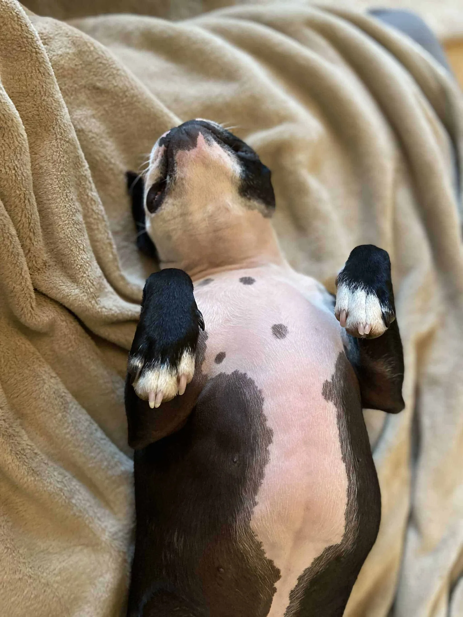 June Chillpose